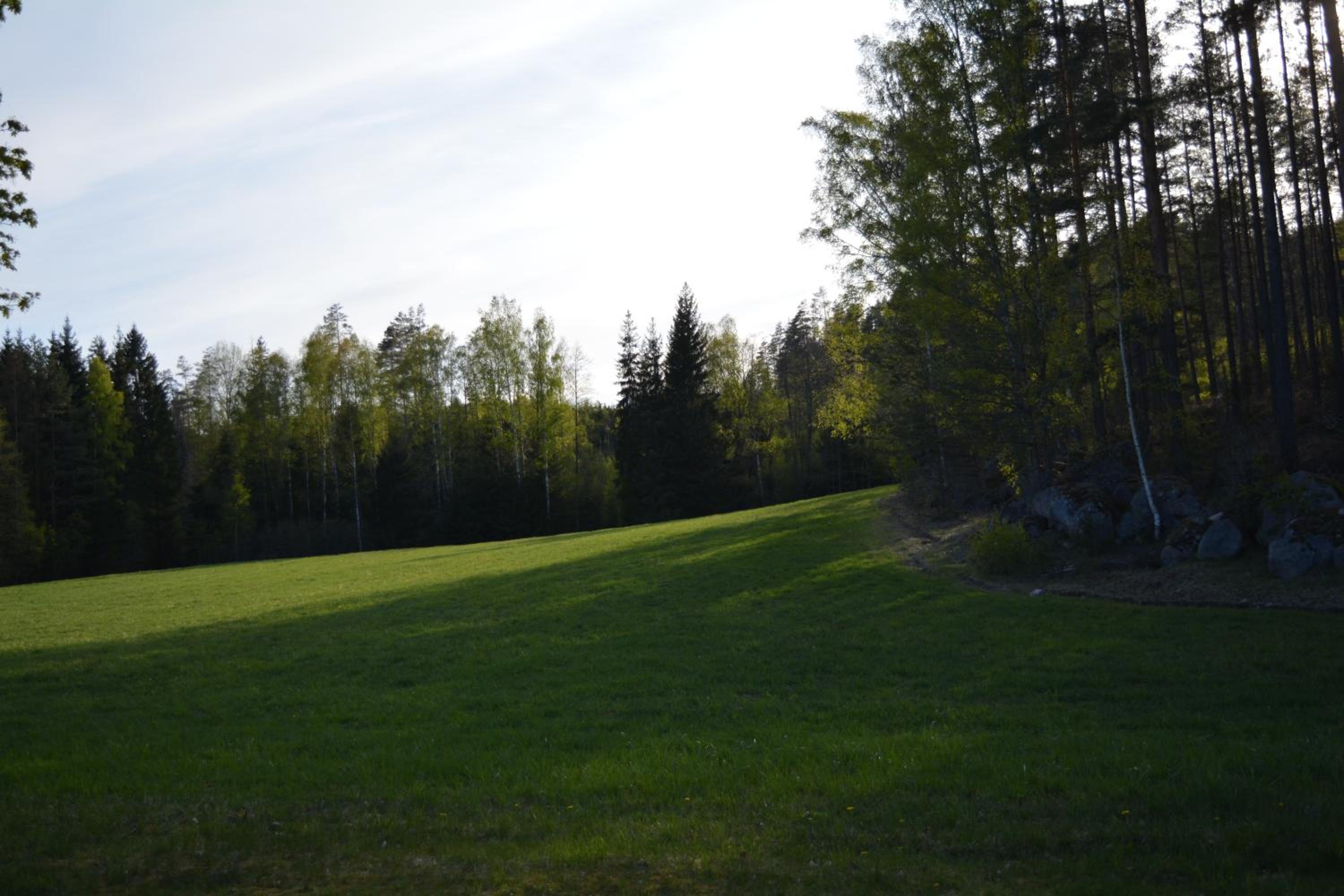 Högerödja