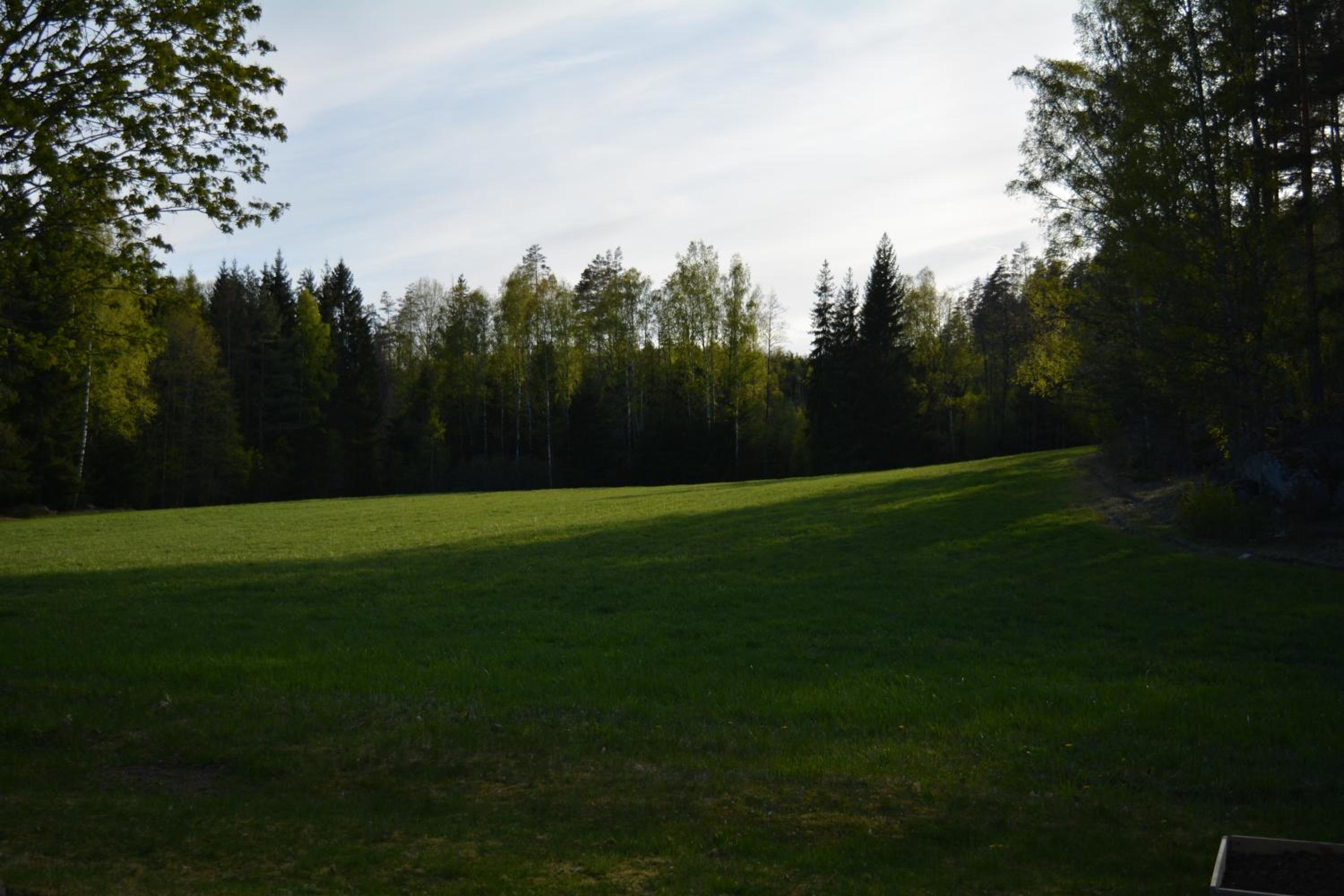 Högerödja