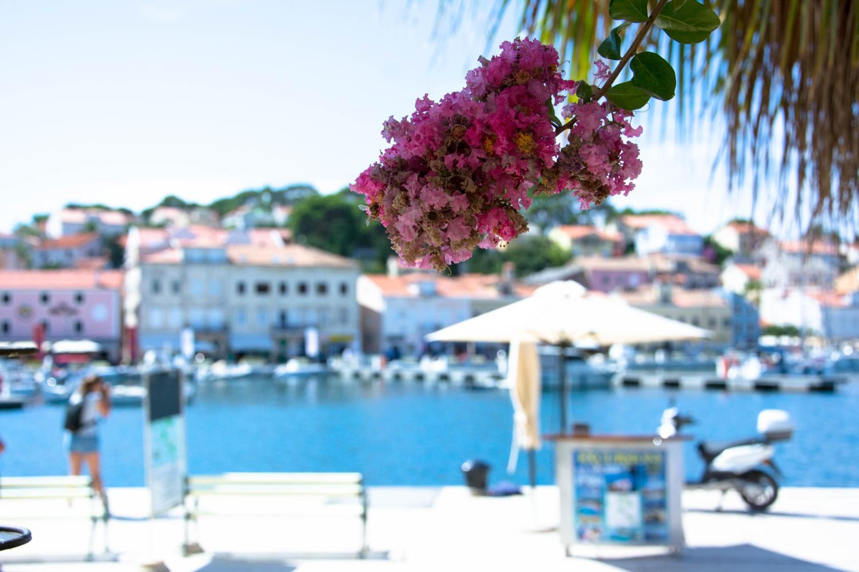 BUGA apartment in center of Mali Losinj view 2