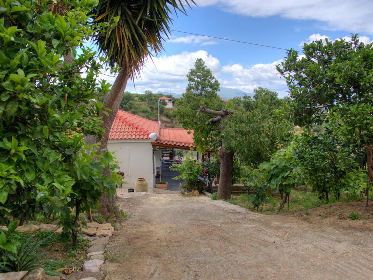 Guesthouse Agia Triada photo 4