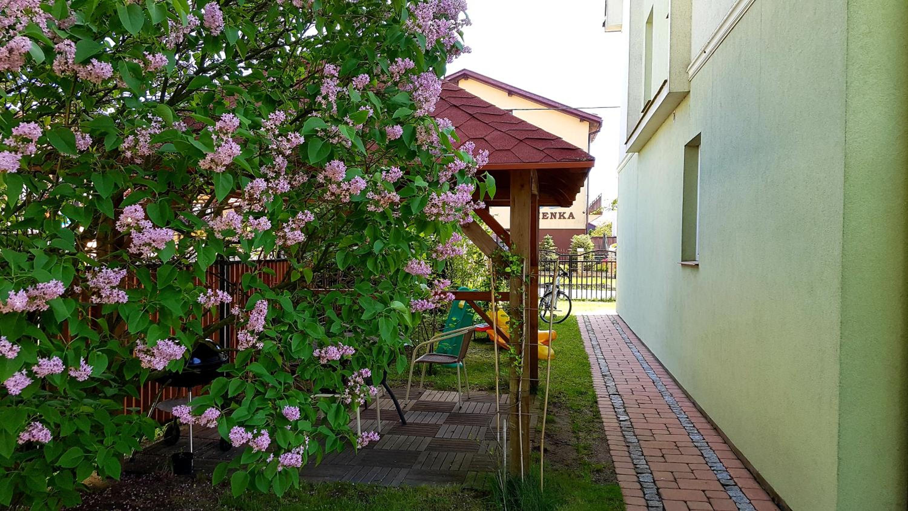Photo 44