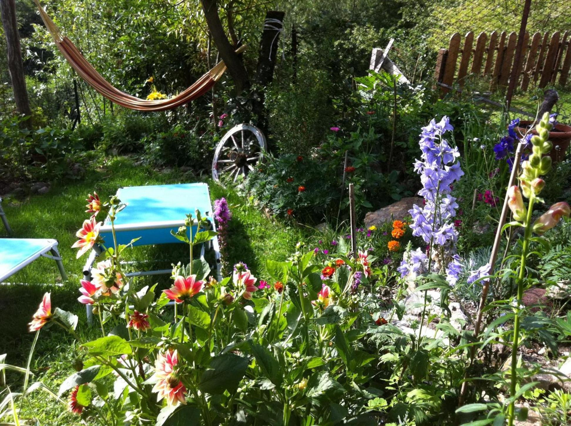 B&B Alba Sul Lago