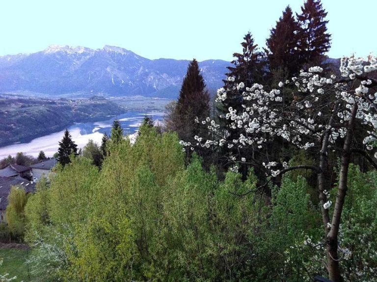 B&B Alba Sul Lago