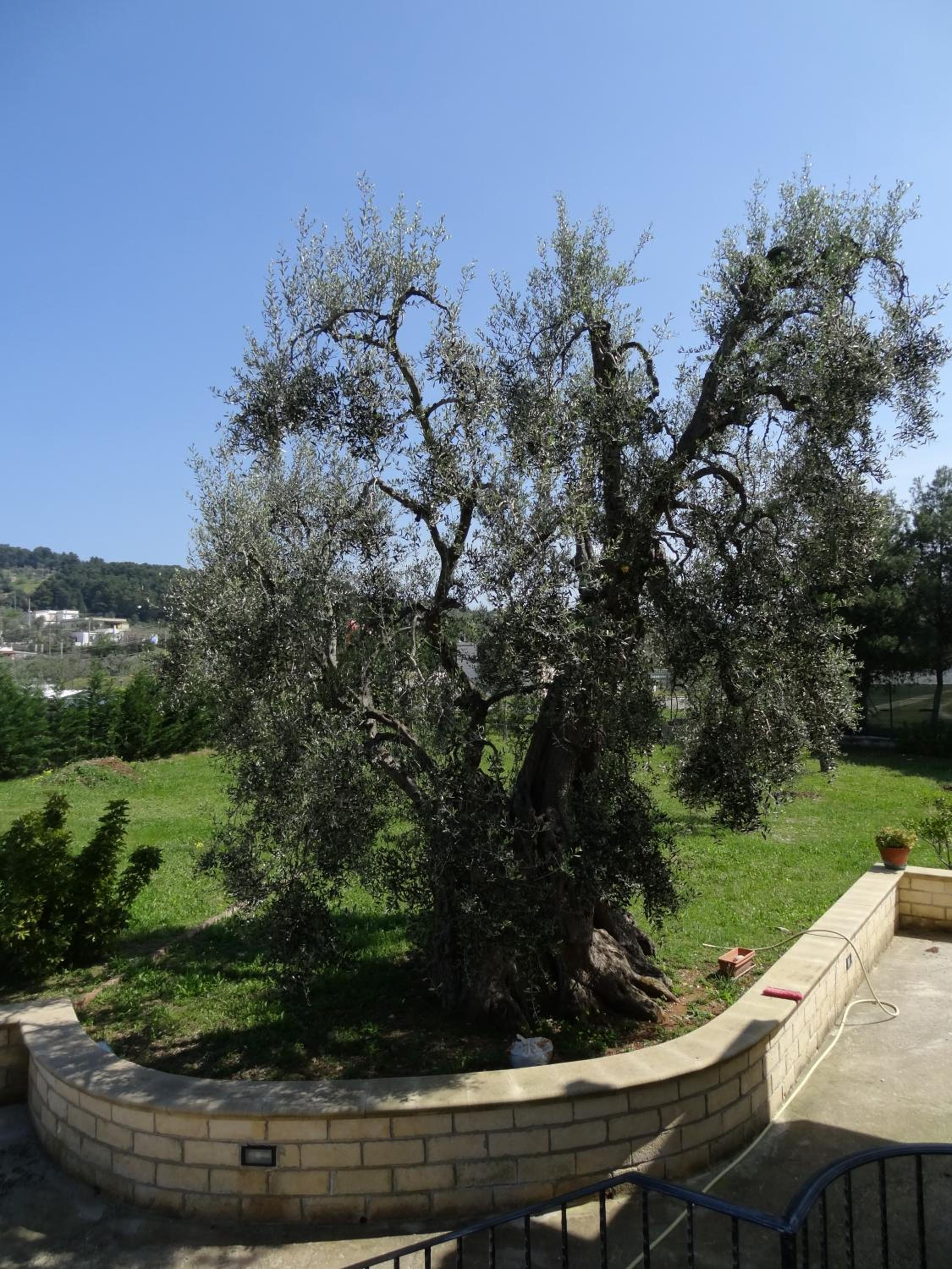 Photo 17