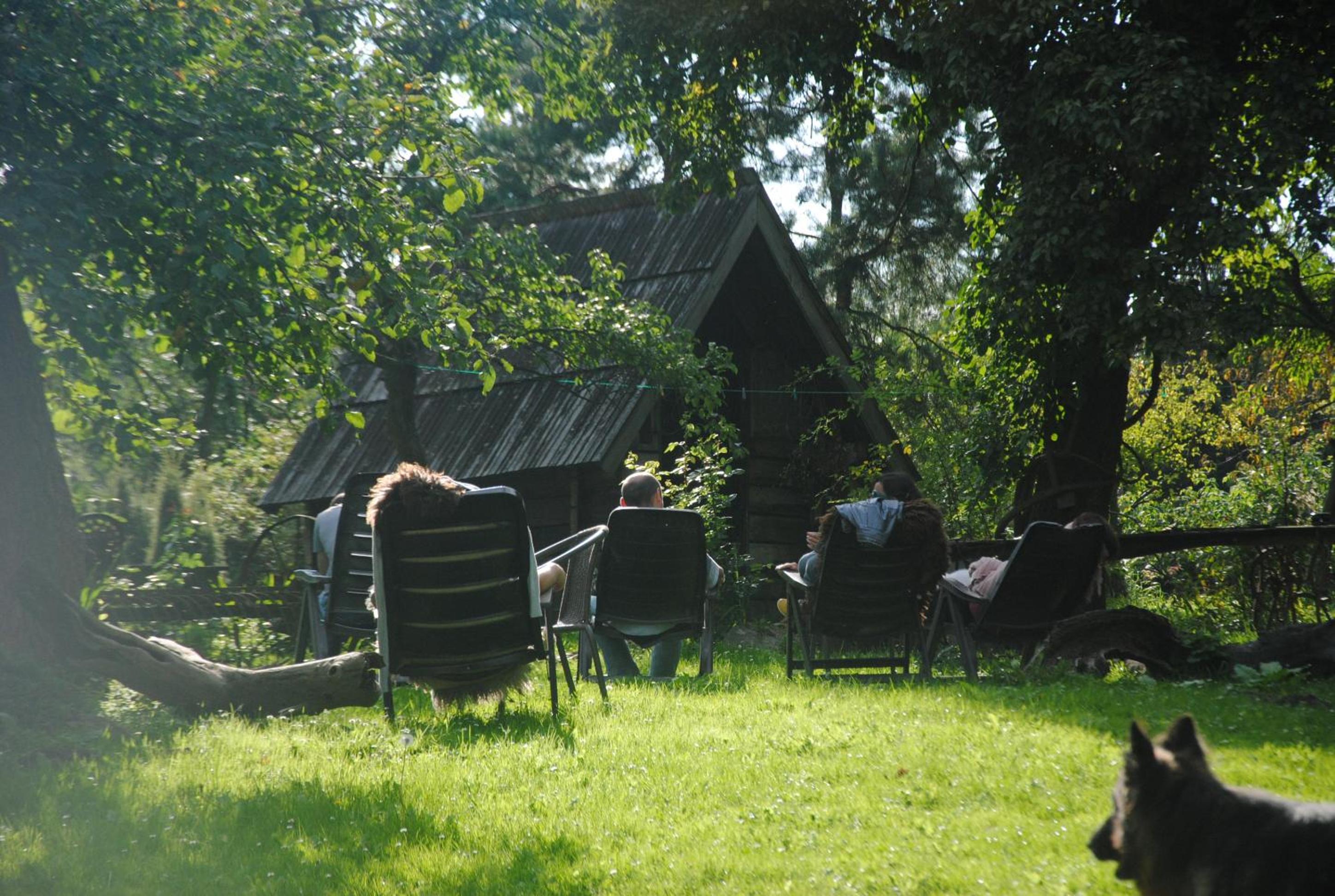 Photo 12