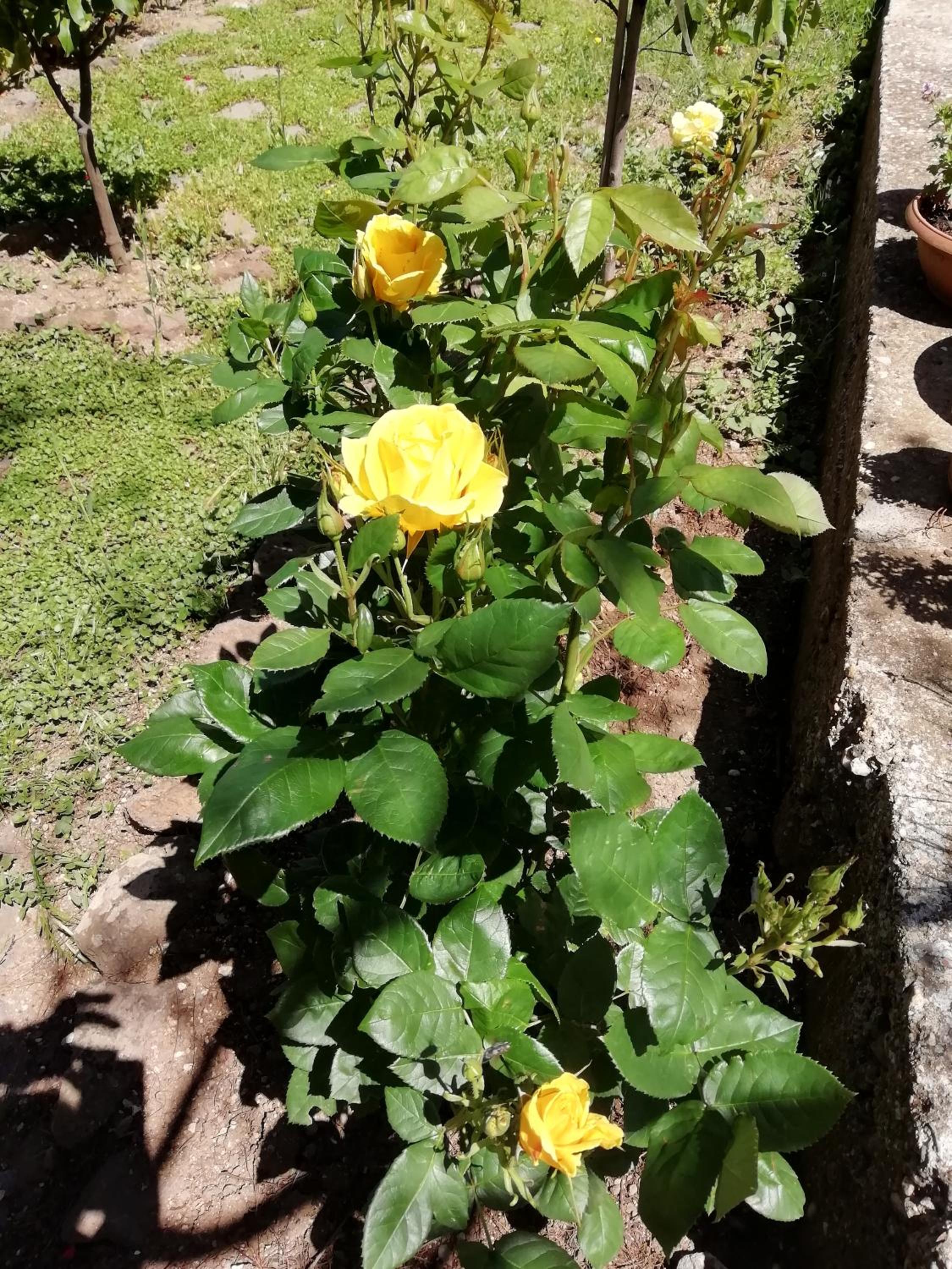 Photo 44