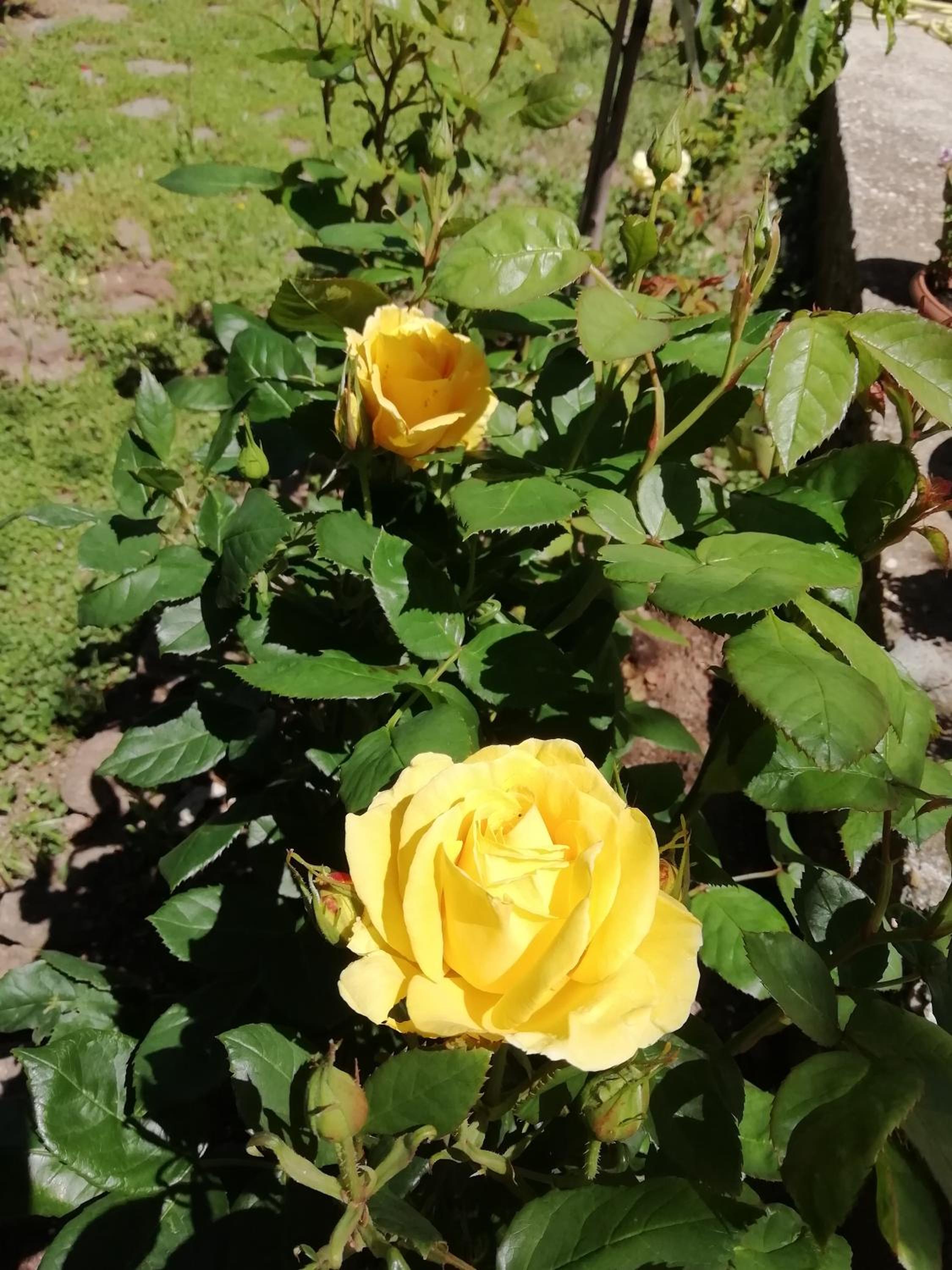 Photo 46