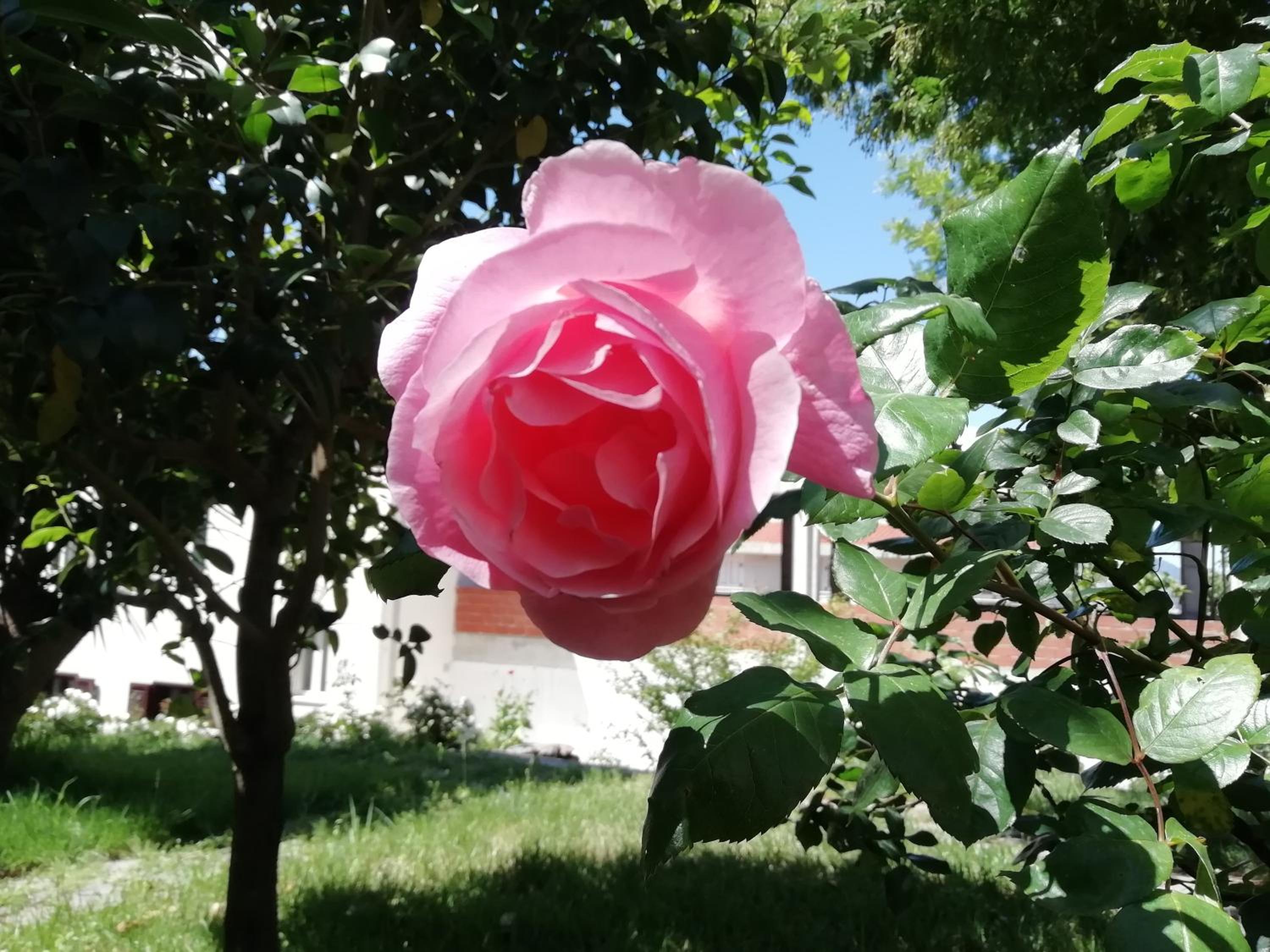 Photo 47