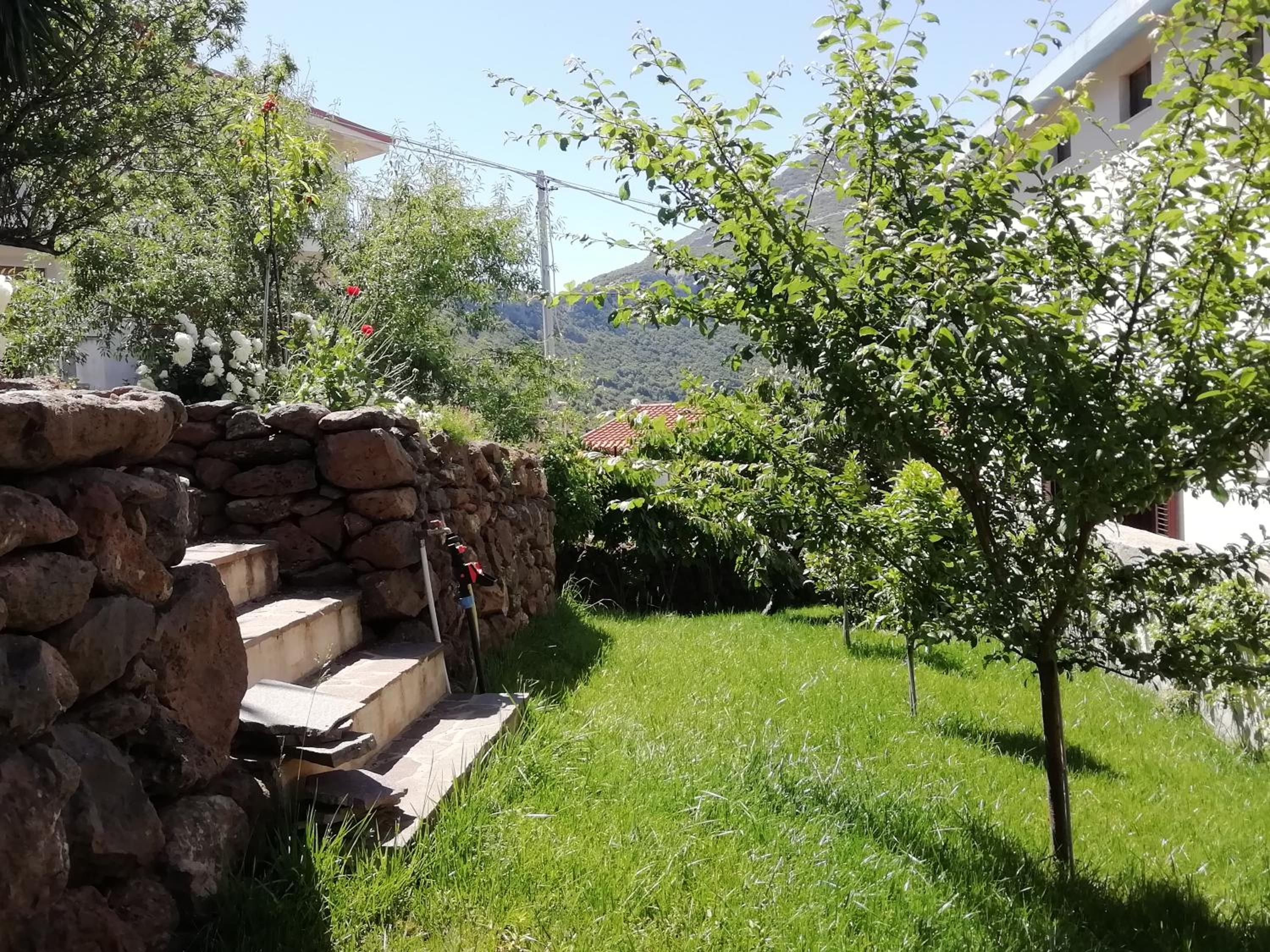 Photo 51