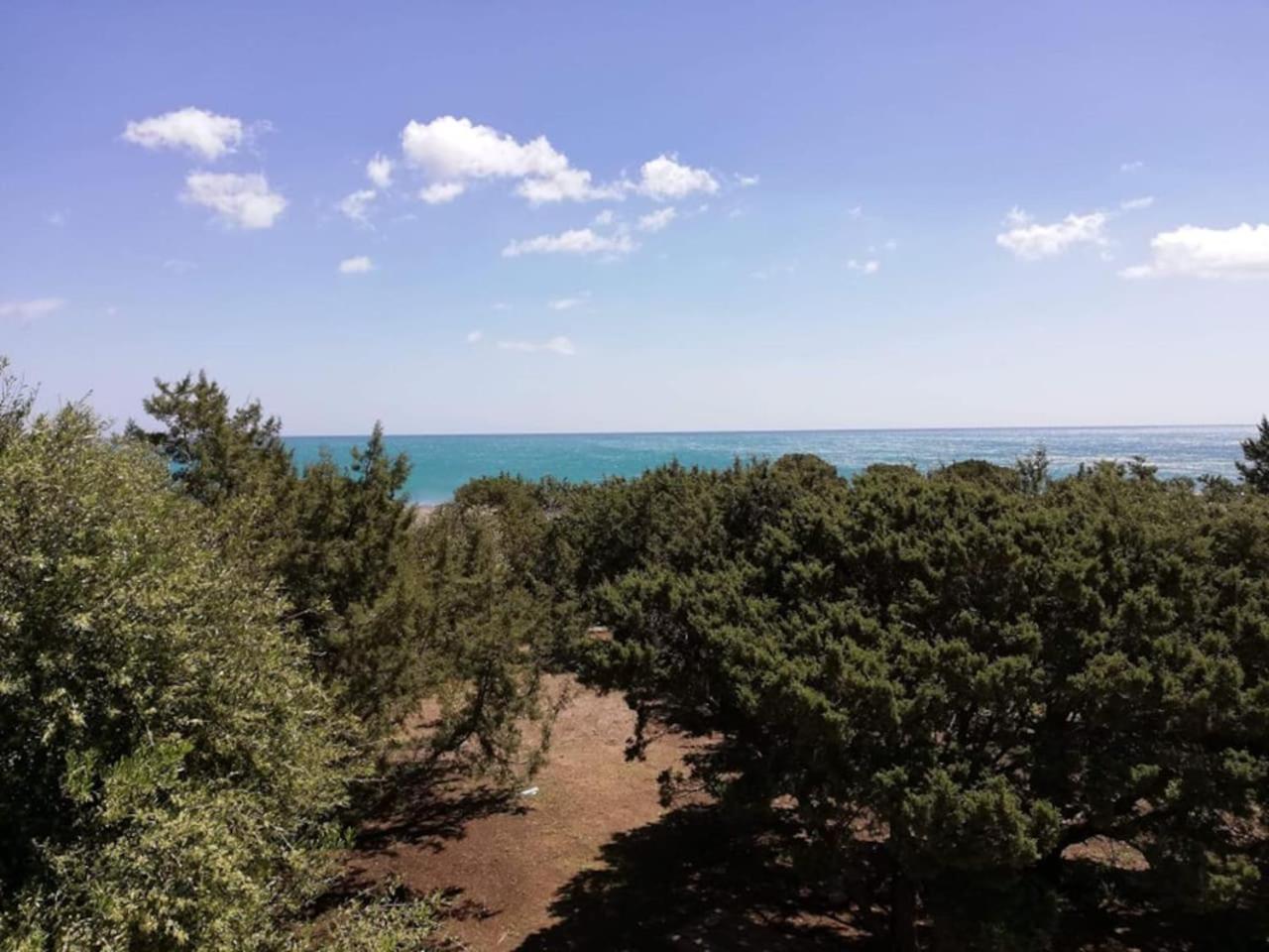 Cedrus and Sea, Beachfront House