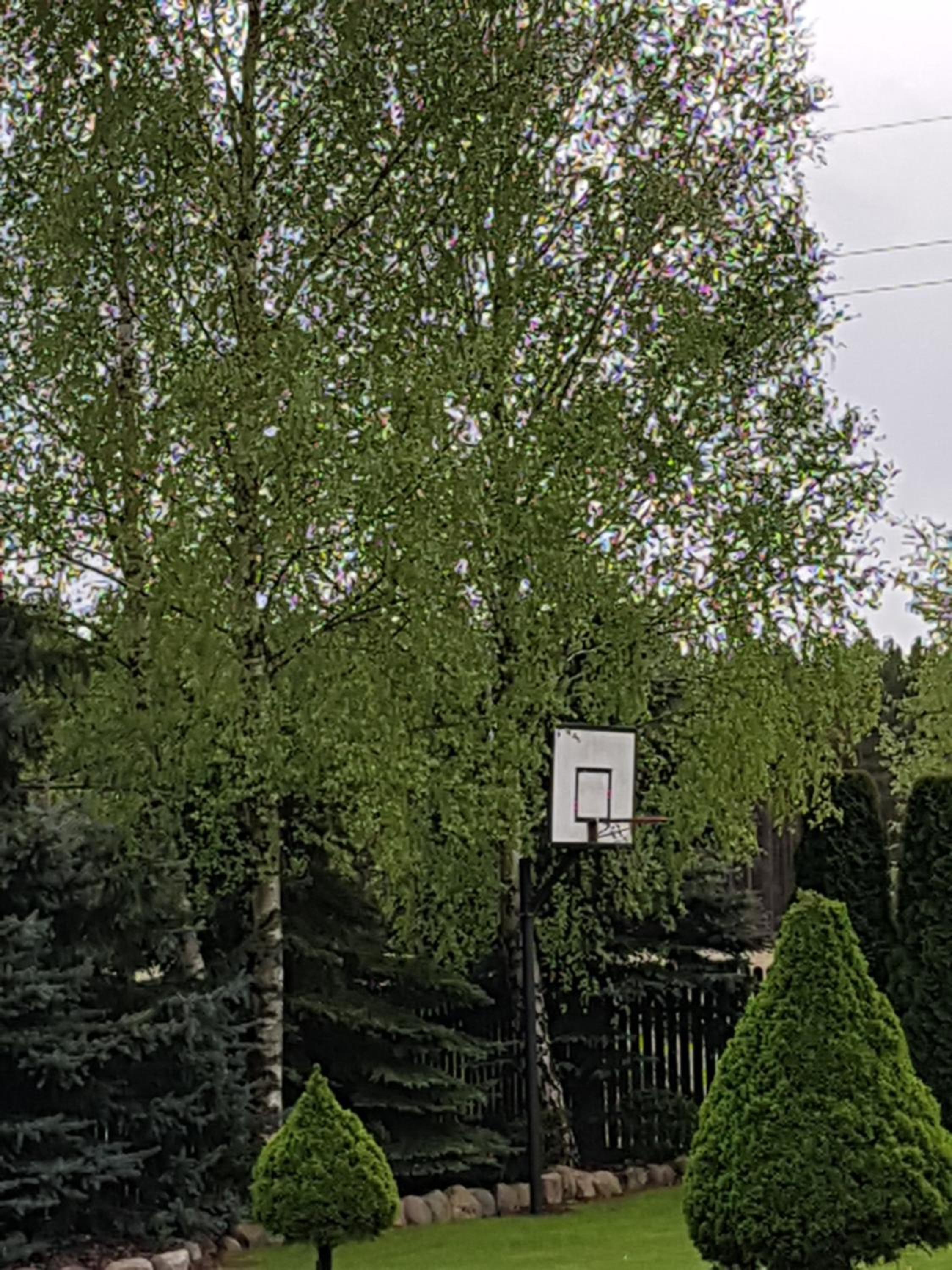 Photo 28