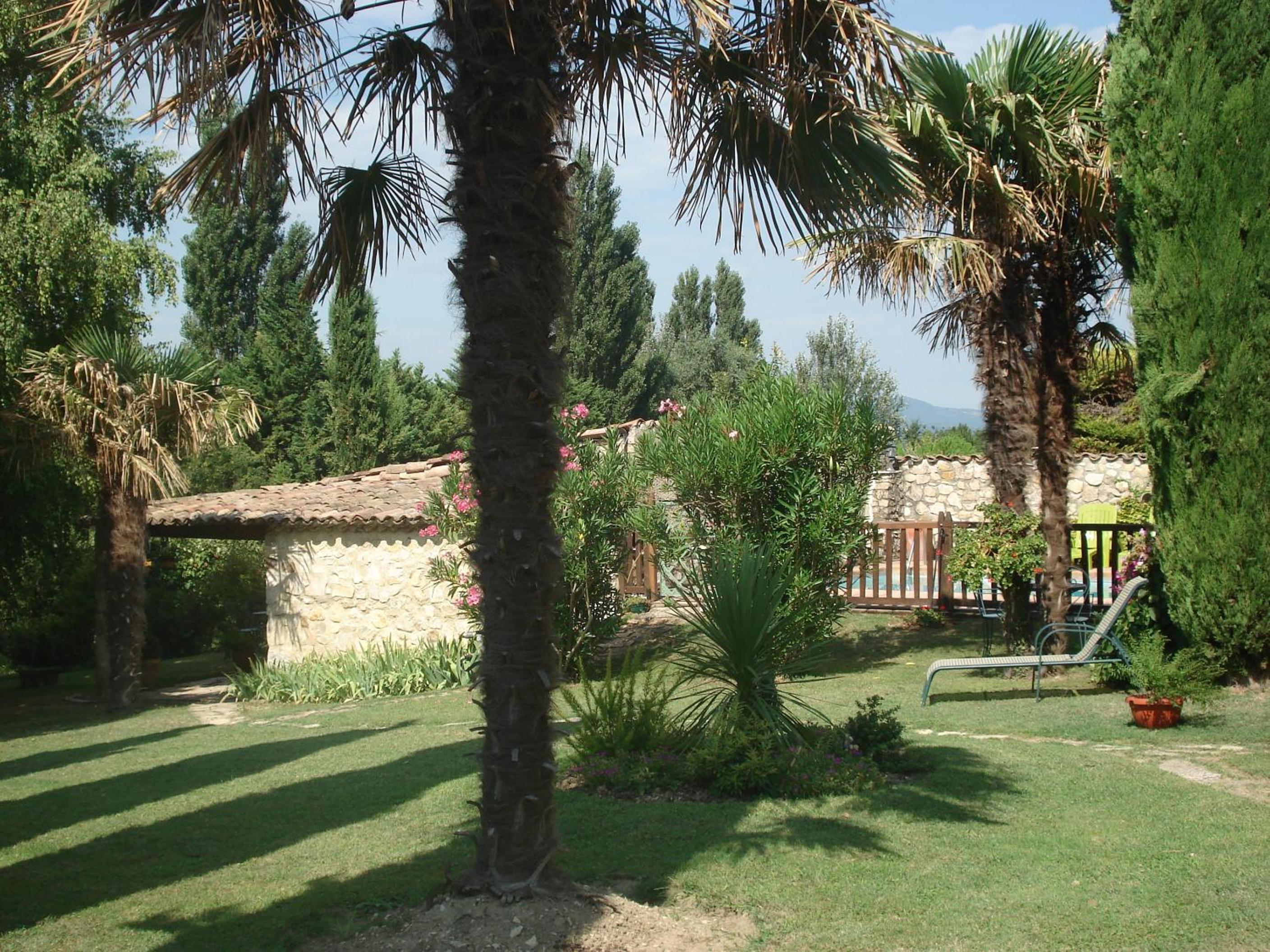 Photo 20
