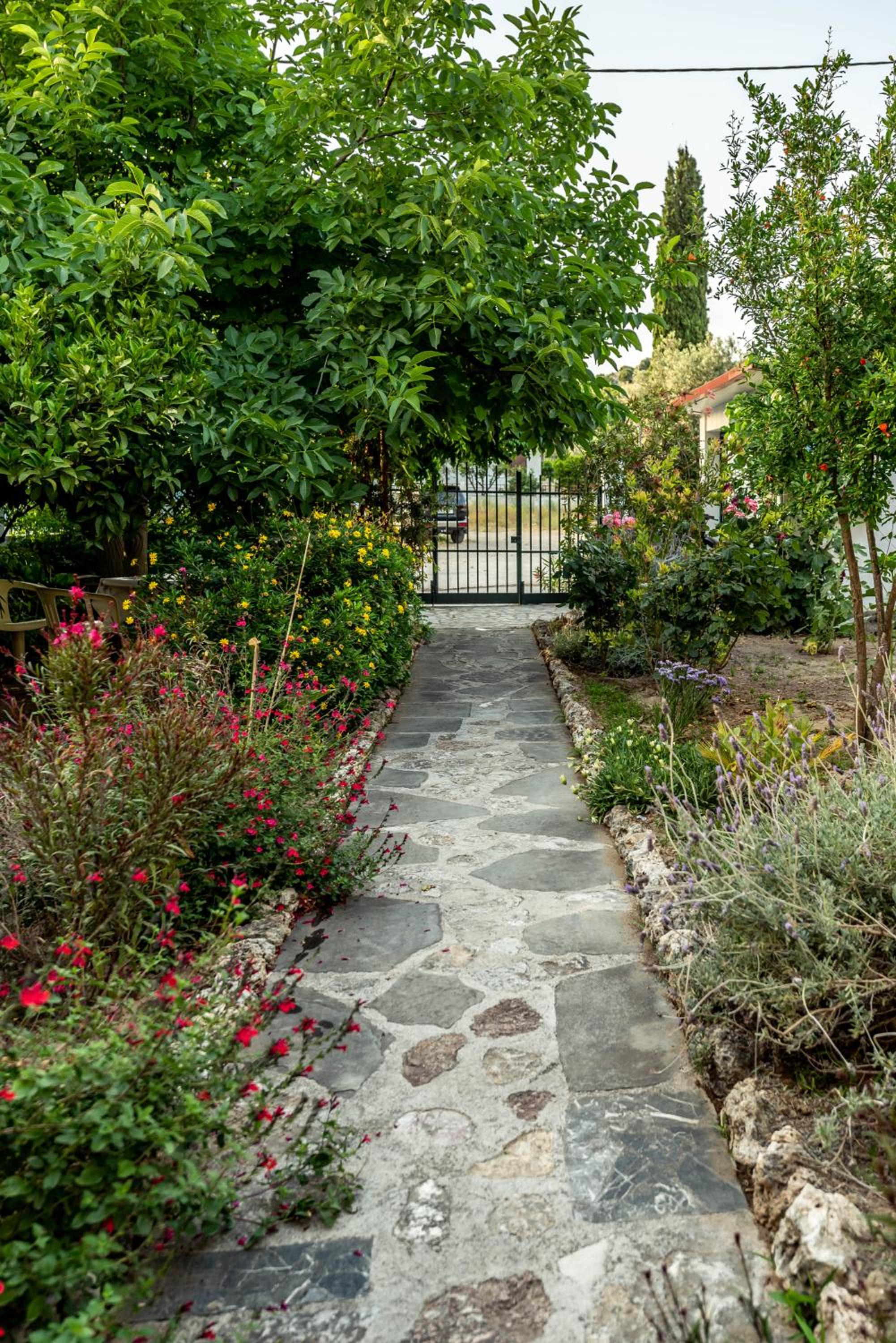 Hotel Ikaros photo 3