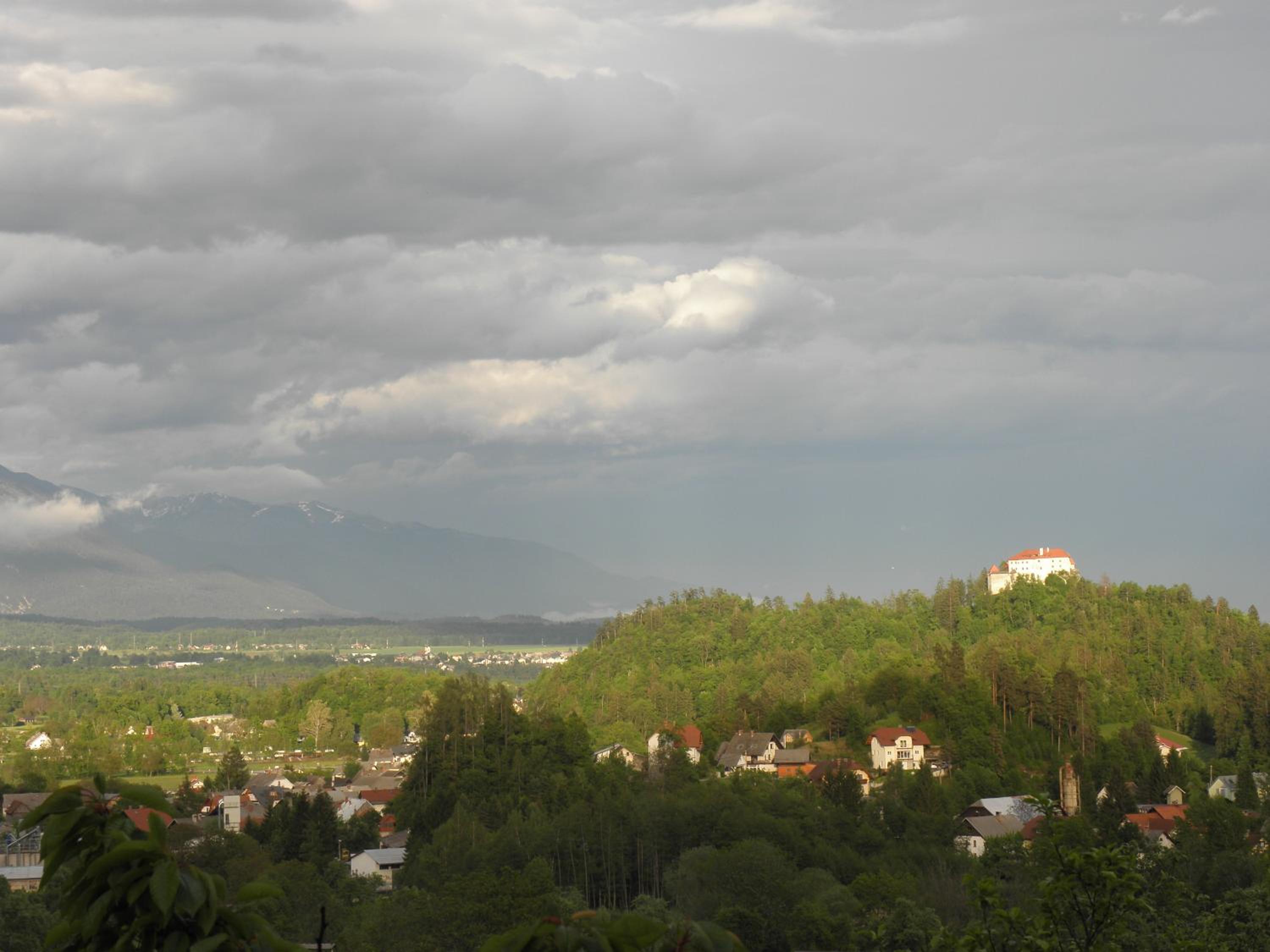 Photo 42