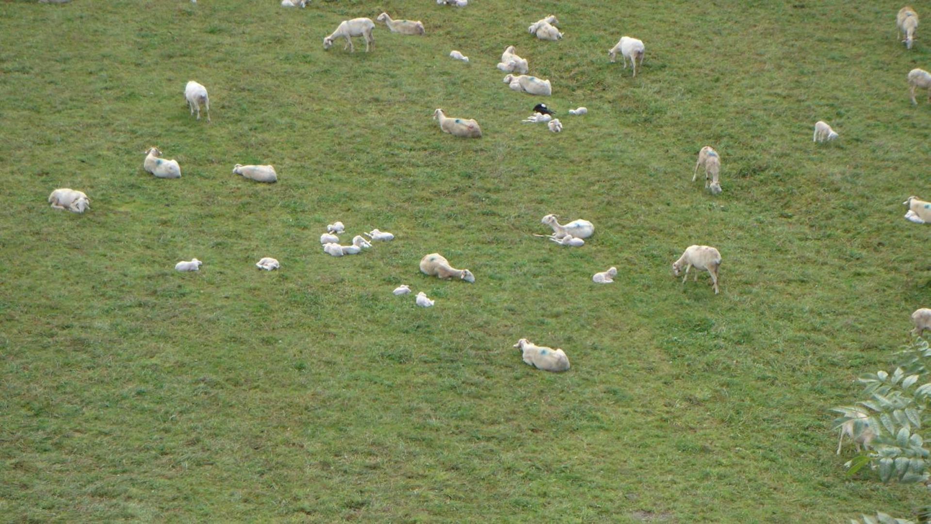 gîte Vallée des Nestes
