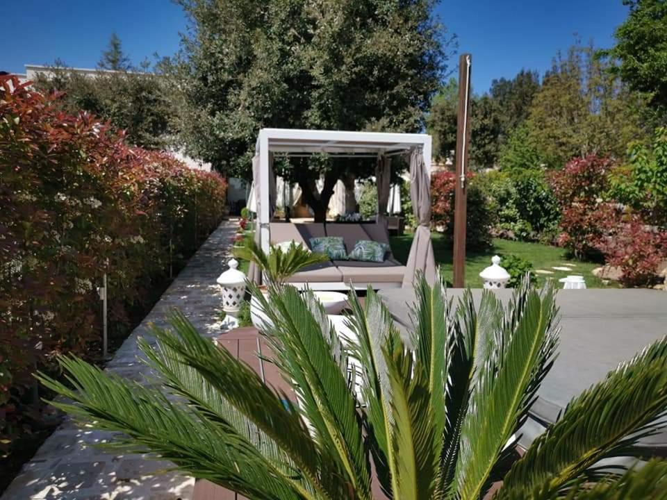 Apulia Dream B&B view 3