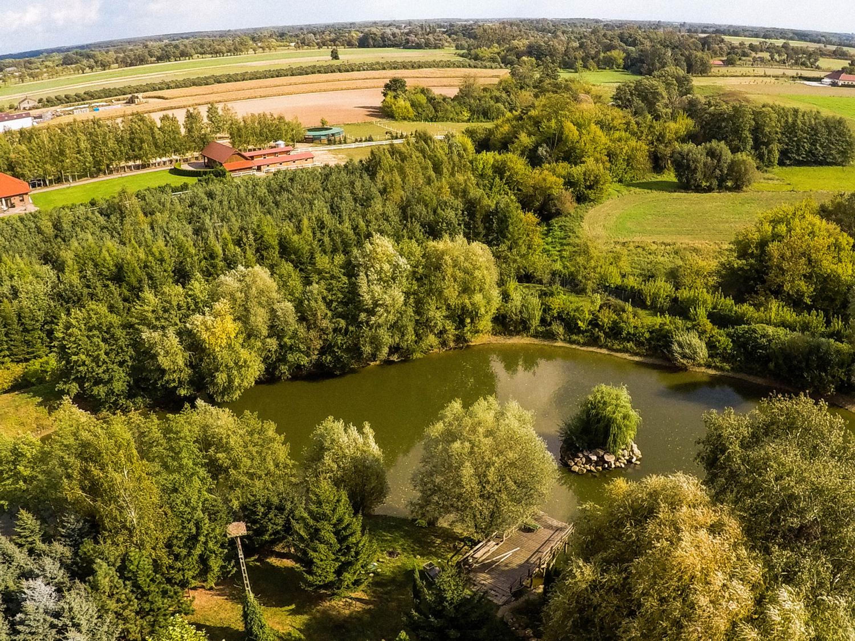 Villa Żelazowa Wola