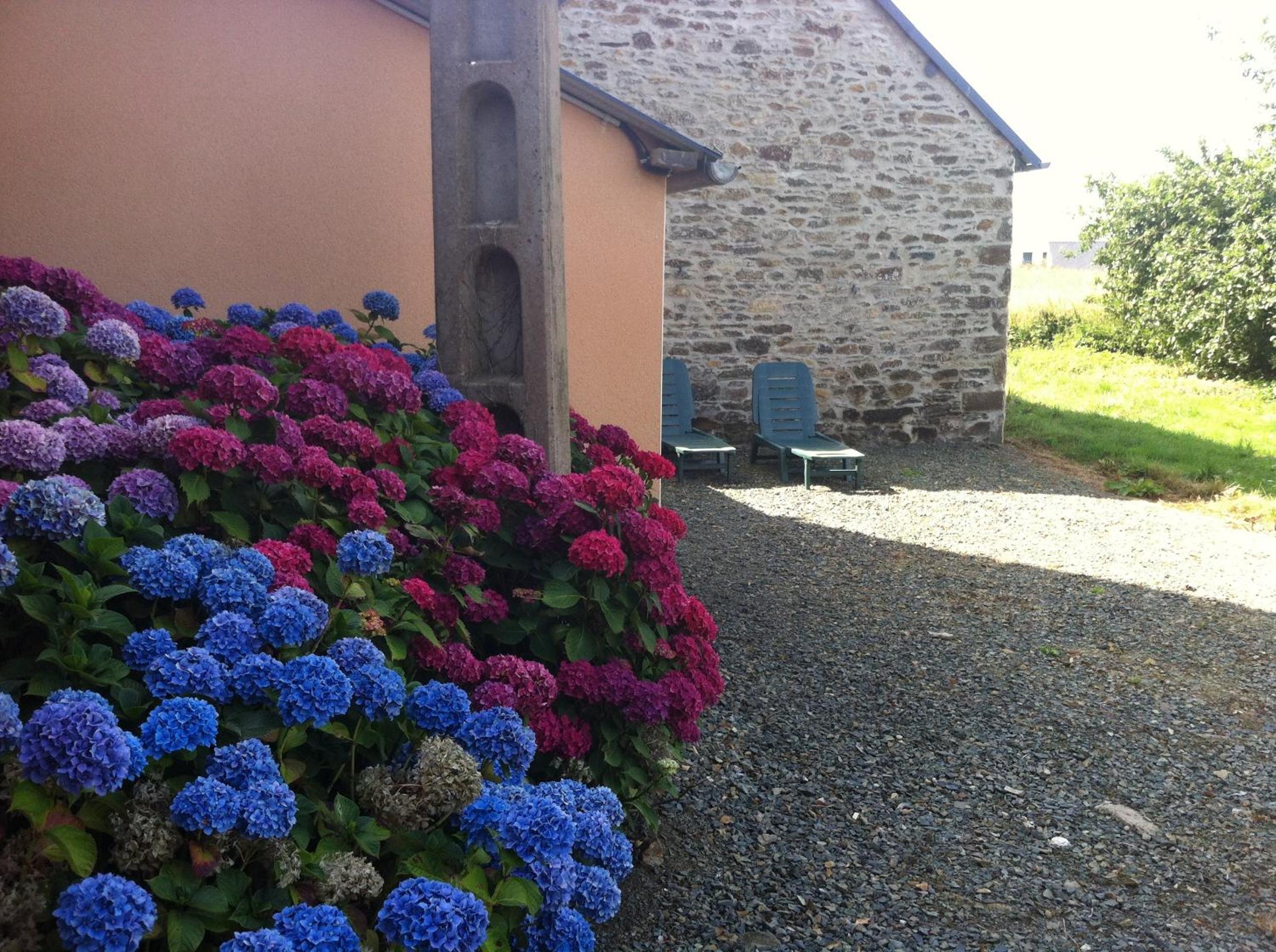 Photo 24