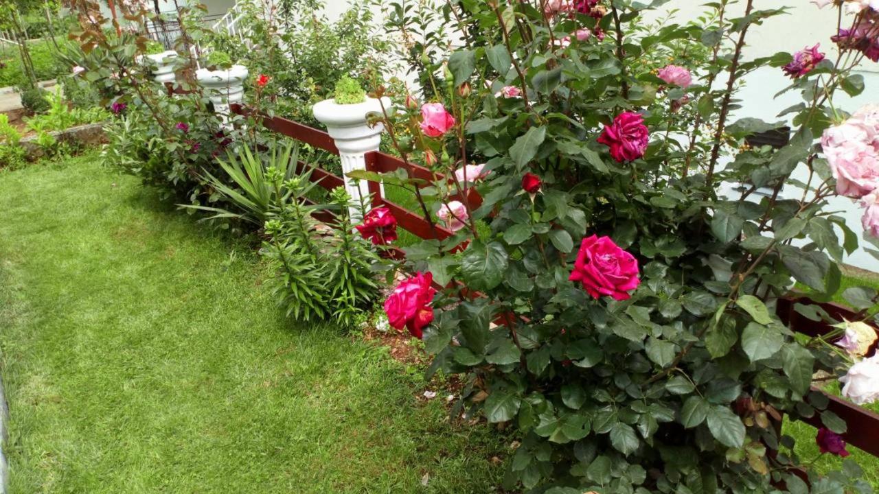Photo 20
