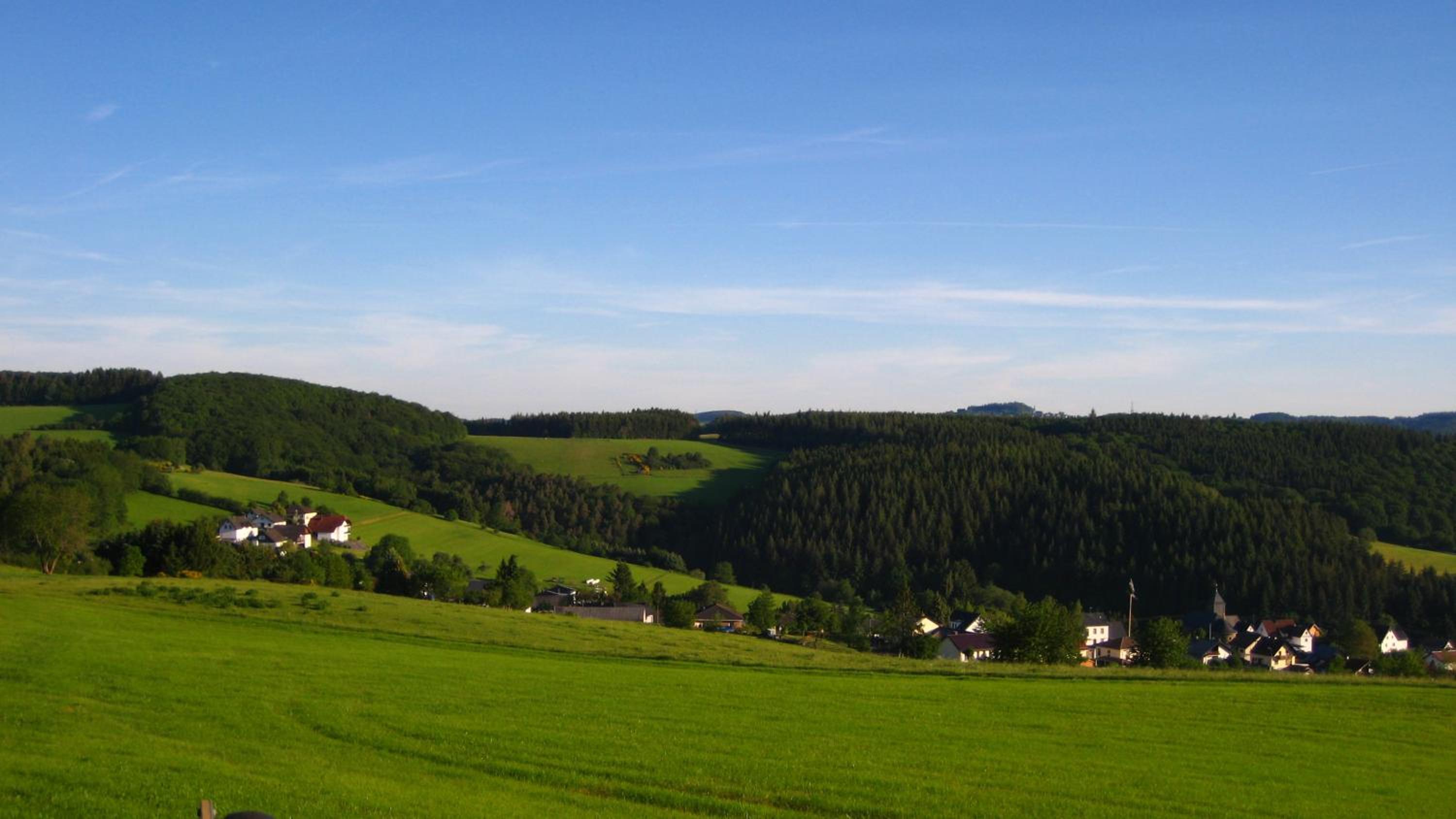 Gästezimmer Waldblick view 4