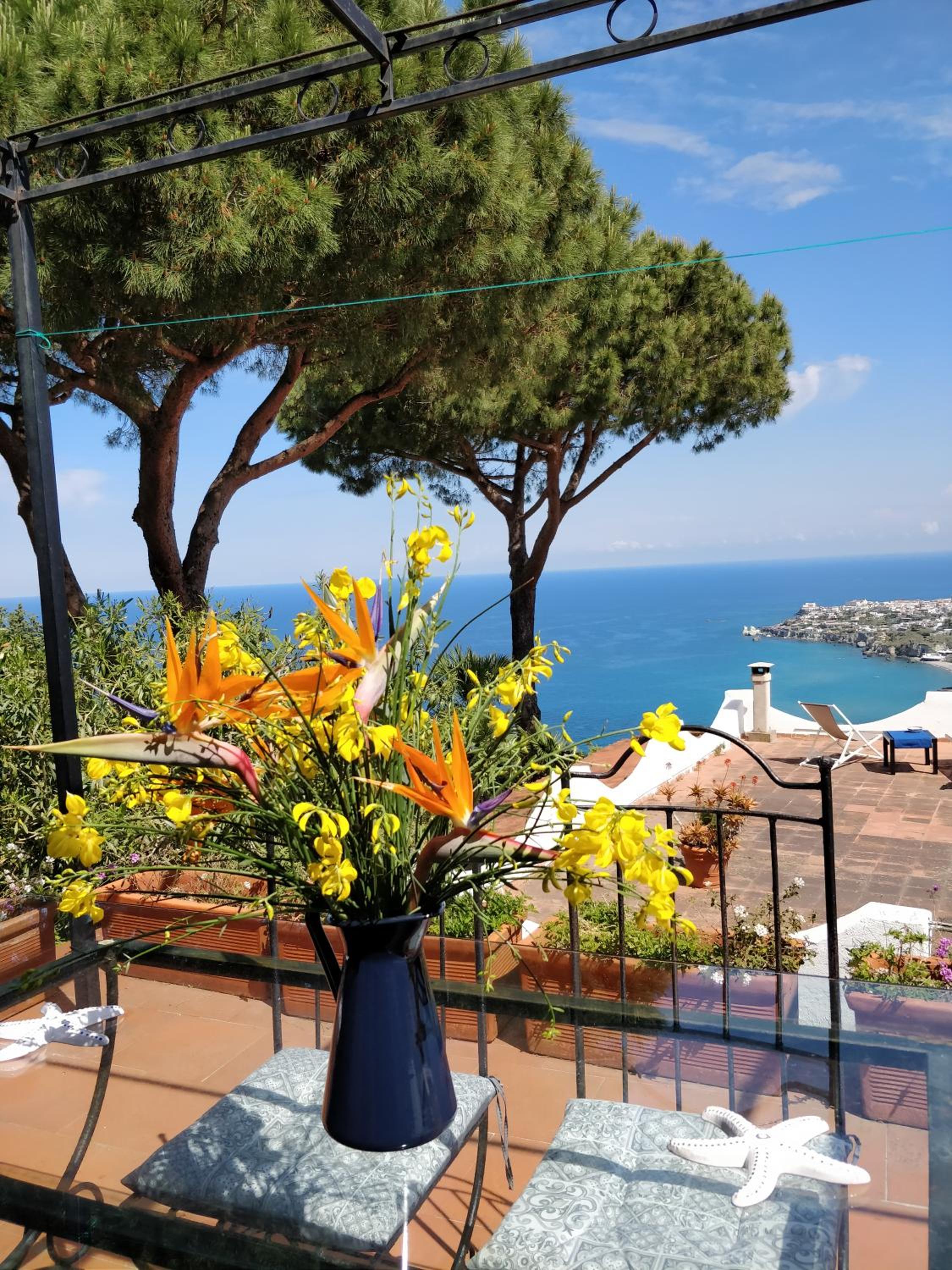 Villa Andrea