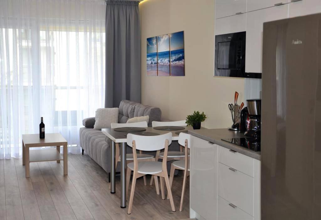 Apartament Srebrny z garażem view 2