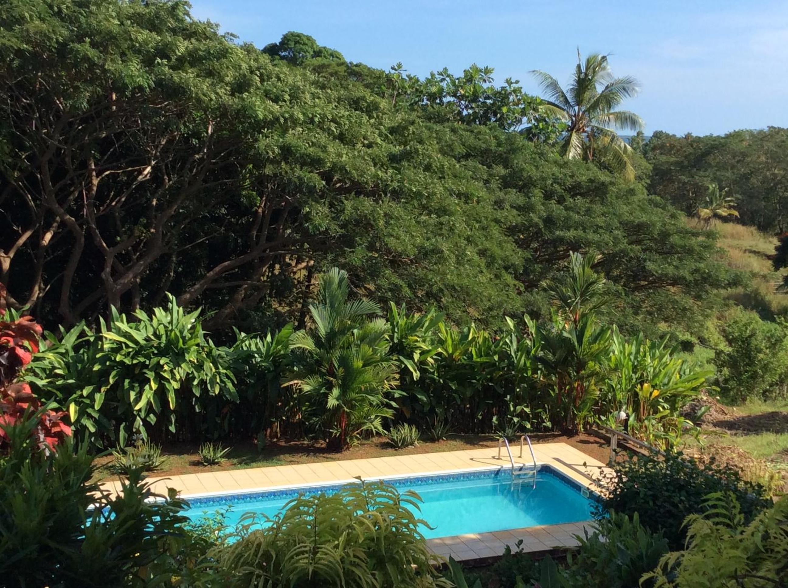 Hotel Palmlea Farms Lodge & Bures - Villas - Image 1