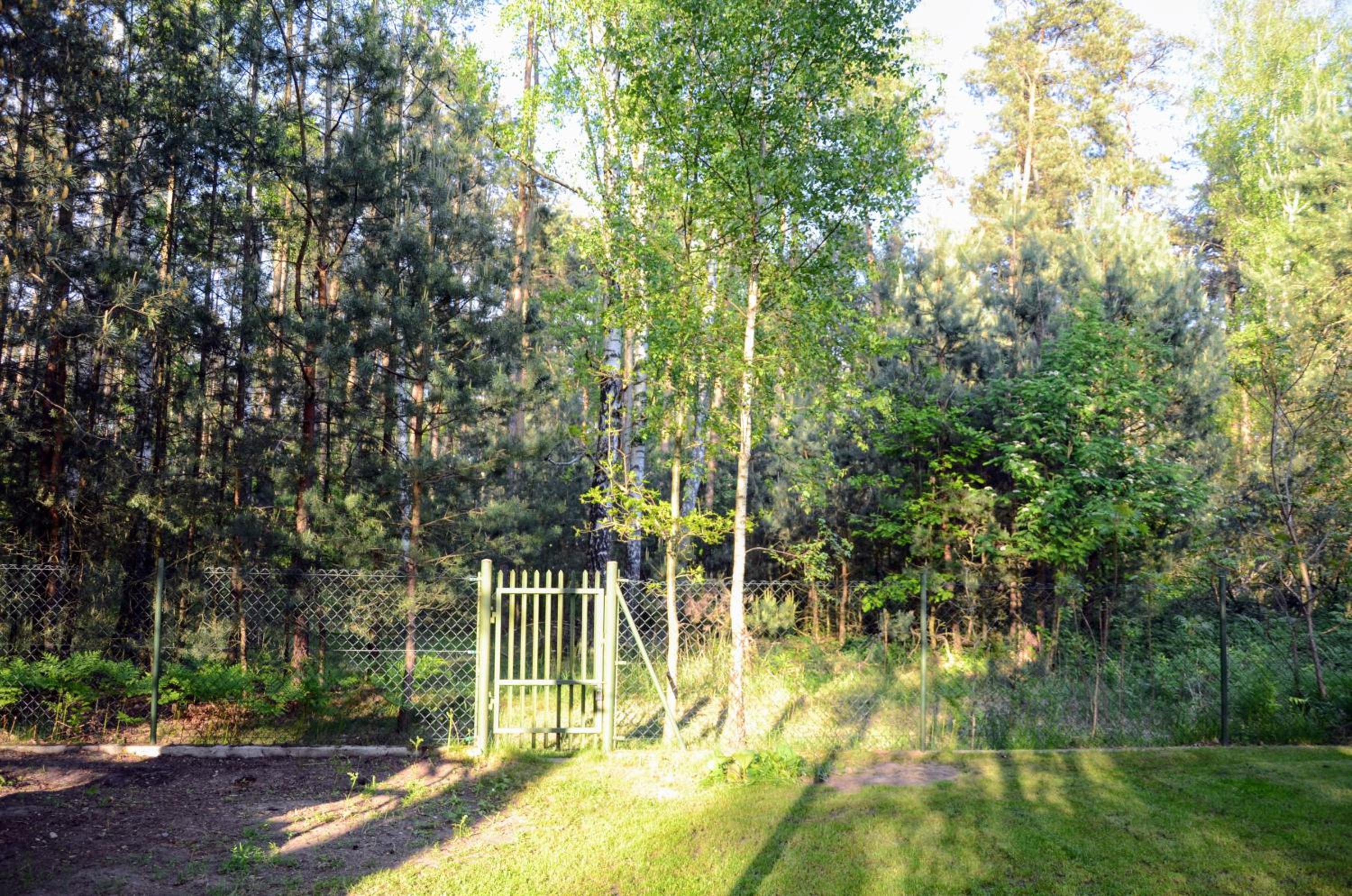 Photo 22