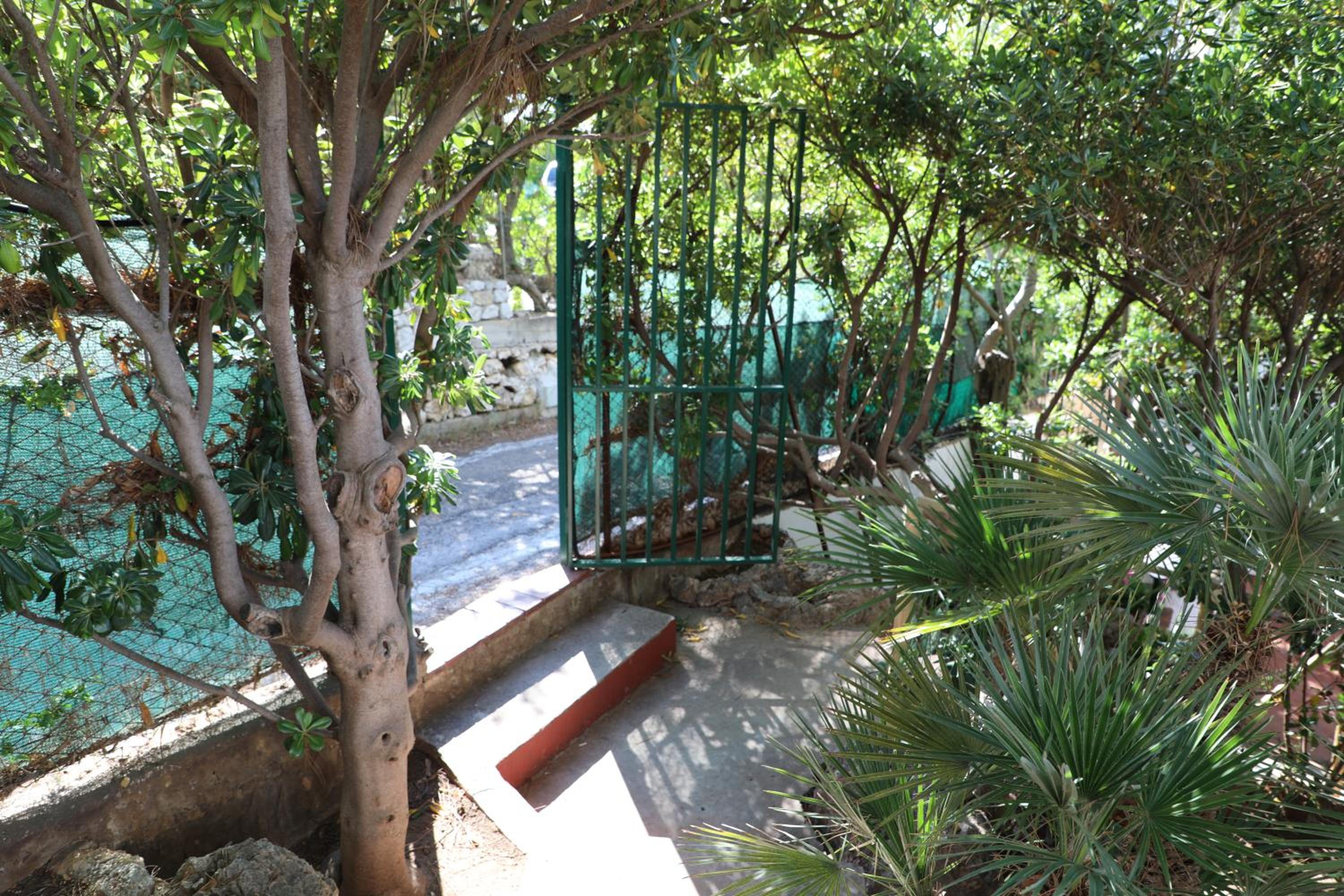 Casa Elvira photo 2