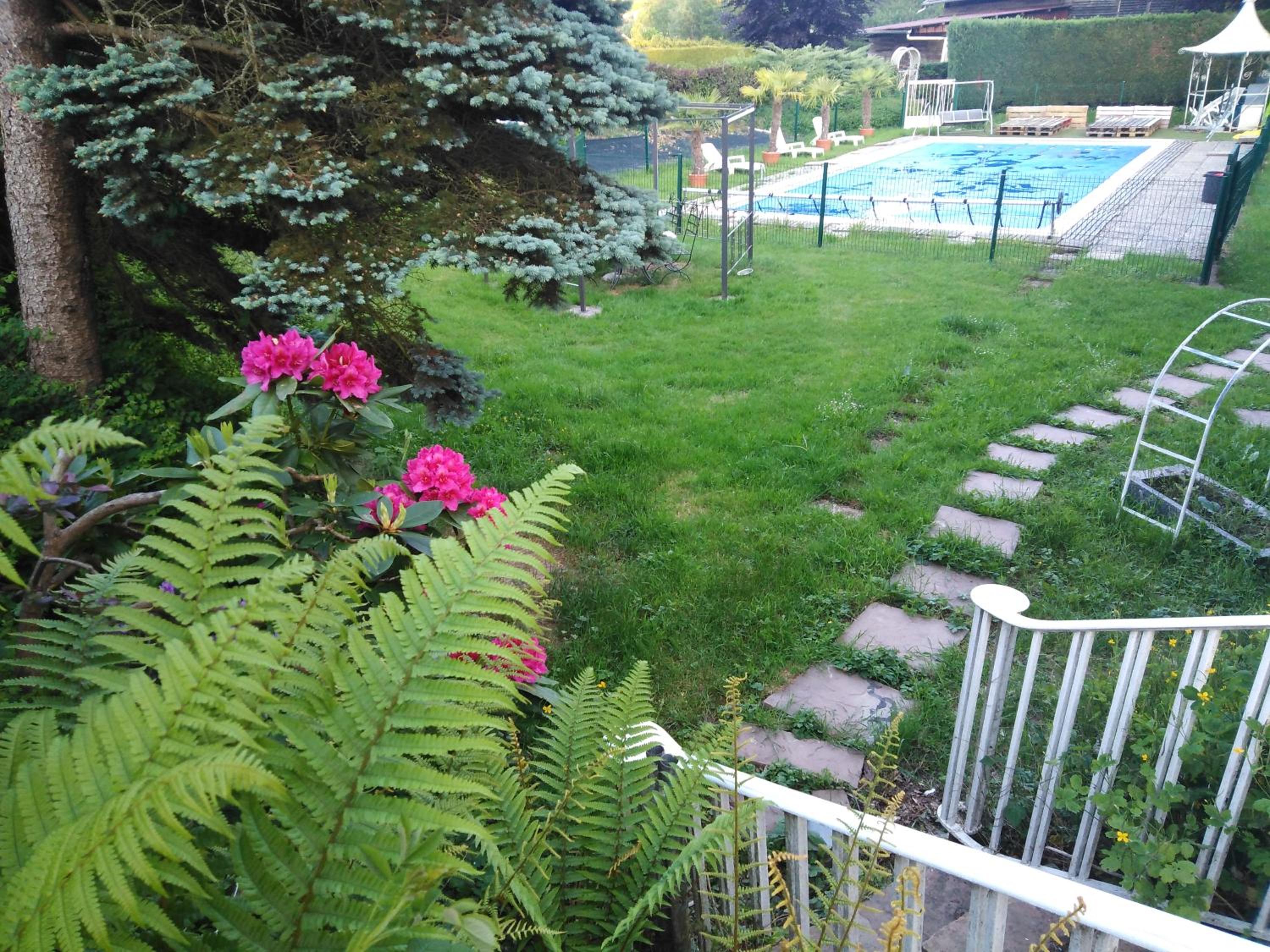 Photo 23