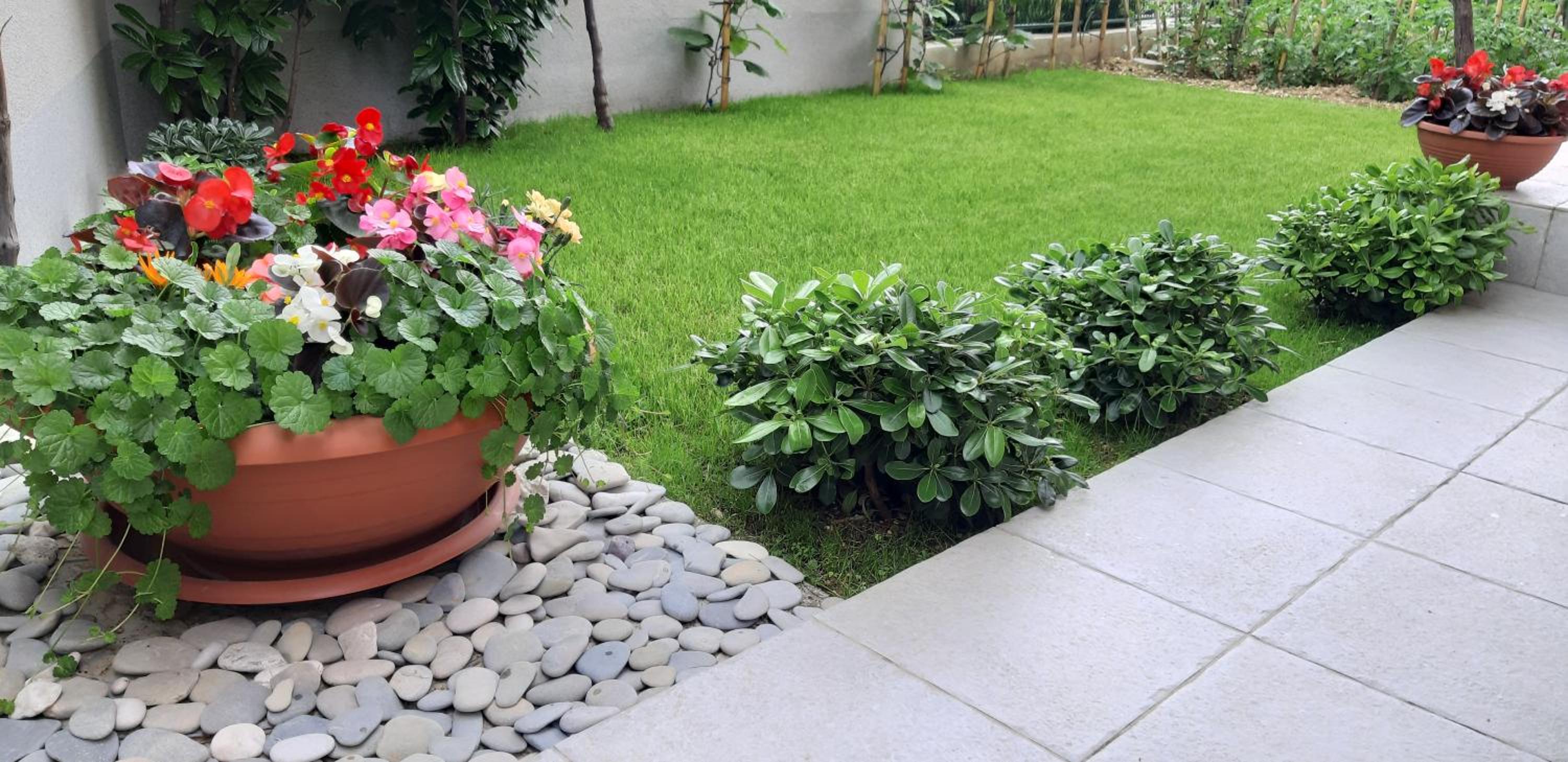Podstrana Vacations - Apartment Sunce - Property Image 32