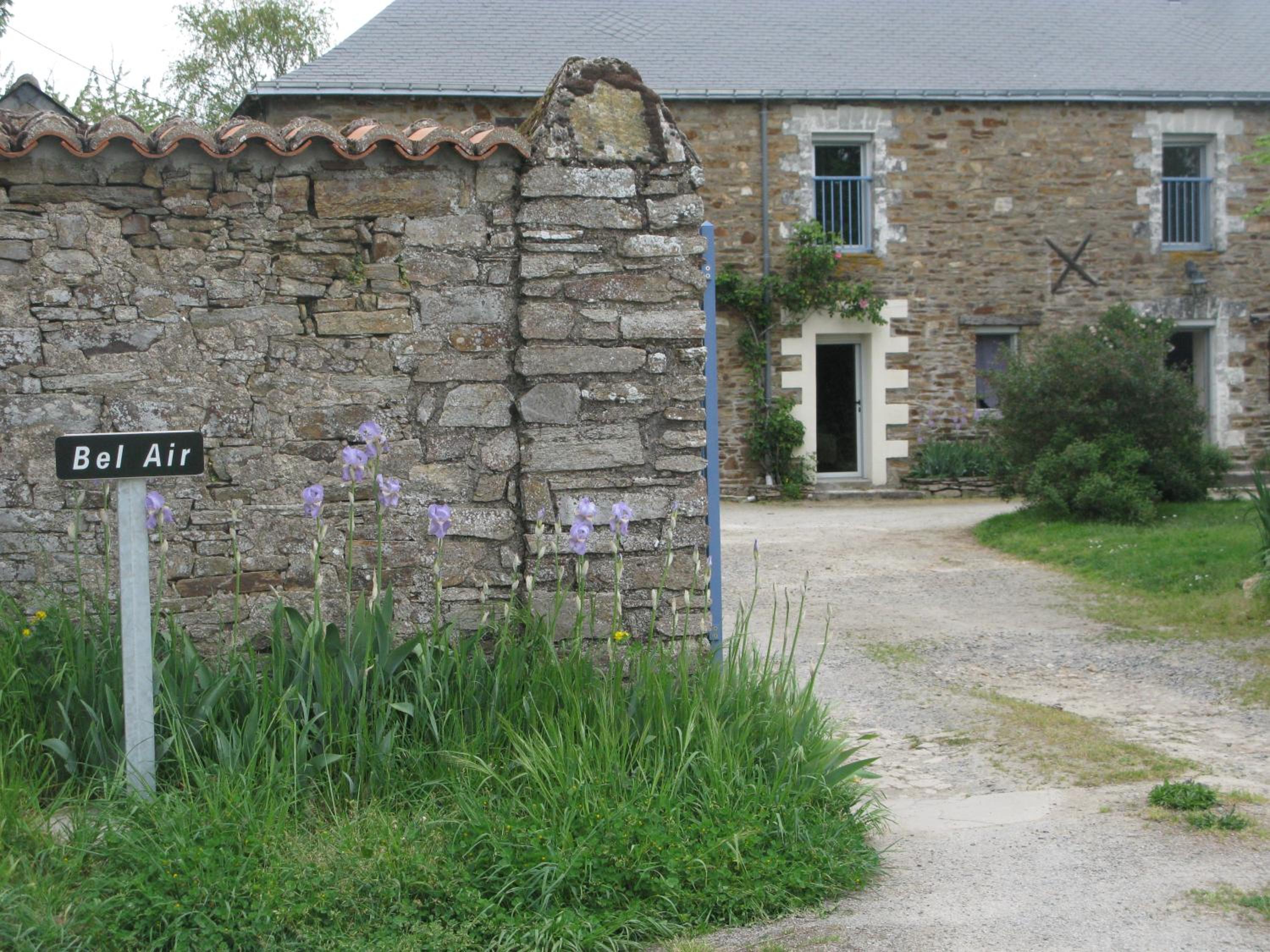 Photo 23