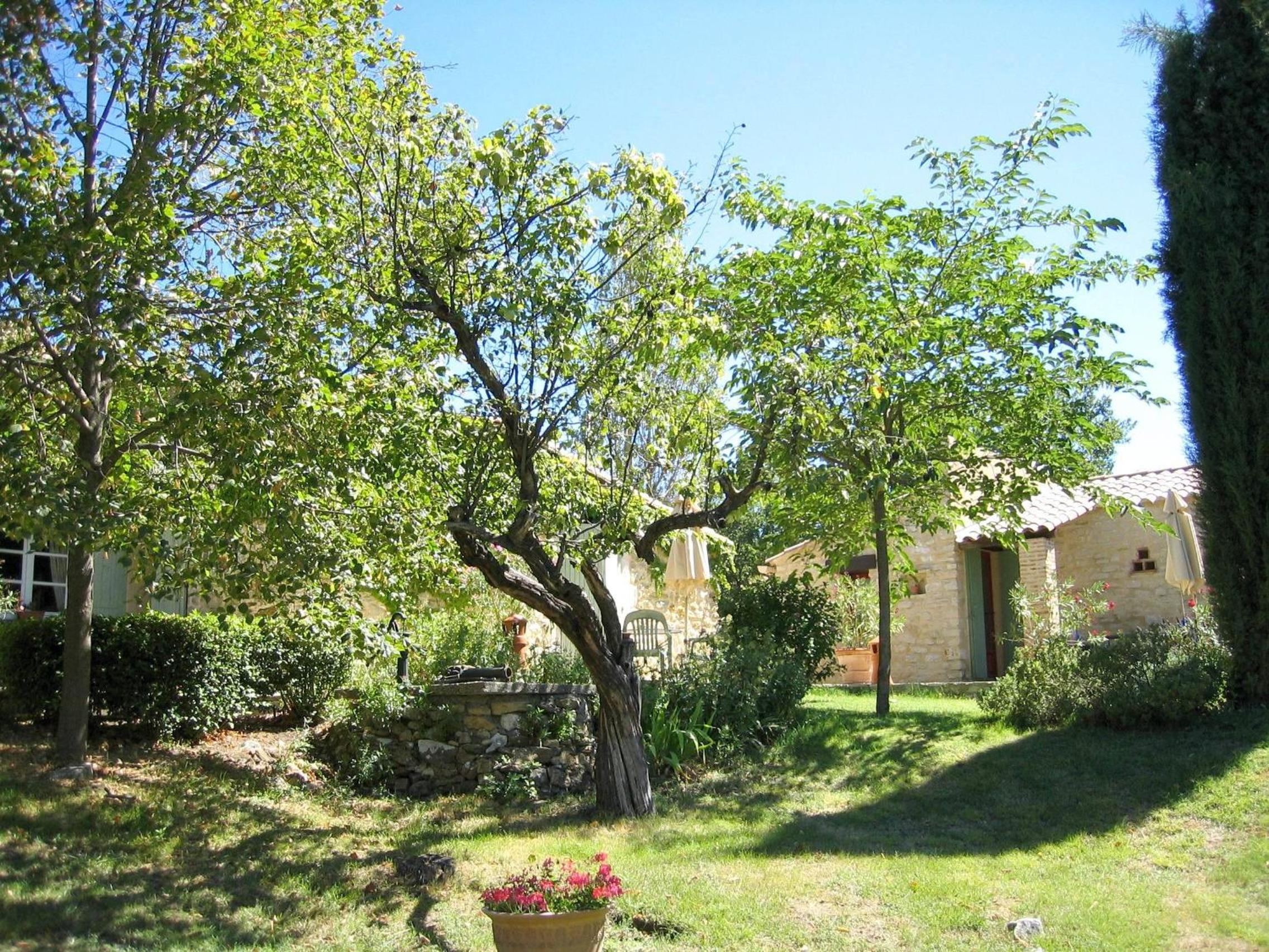 La Pacha