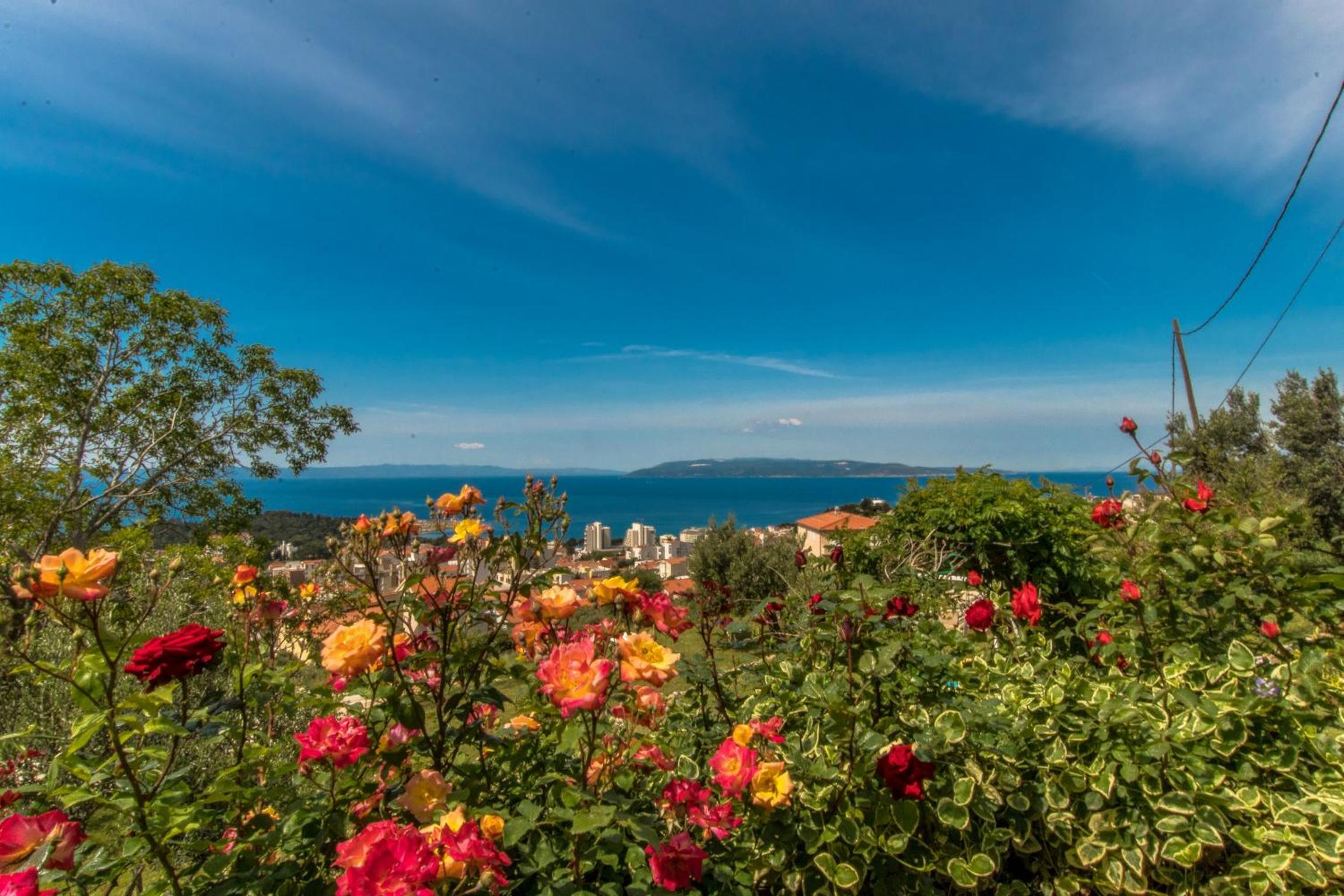 Vacation Home Petar view 4
