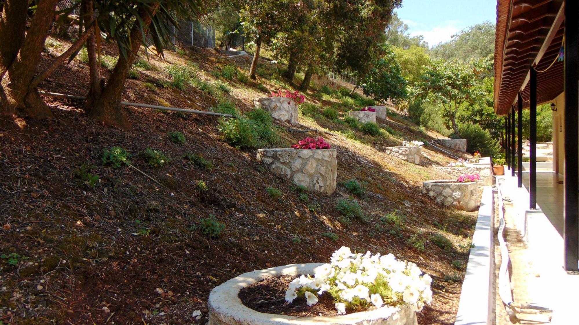 Photo 26