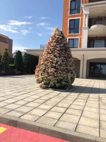 Apartment in Prestige Fort Beach view 2