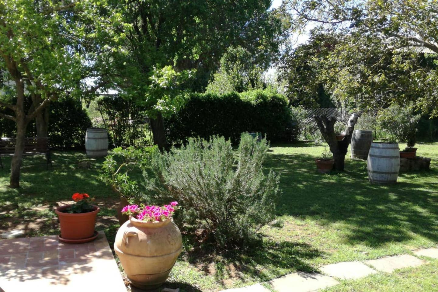 Photo 24