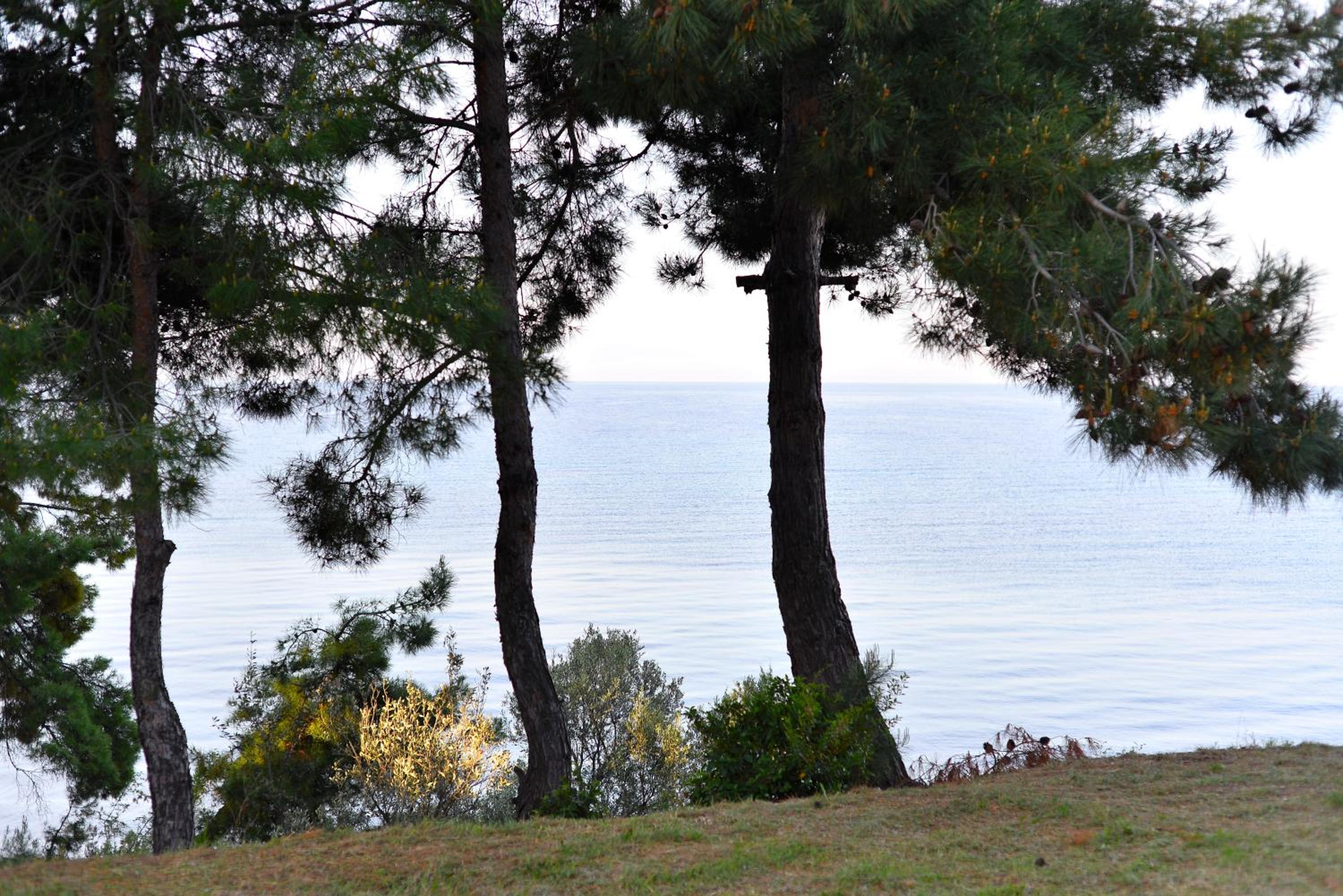 Photo 44