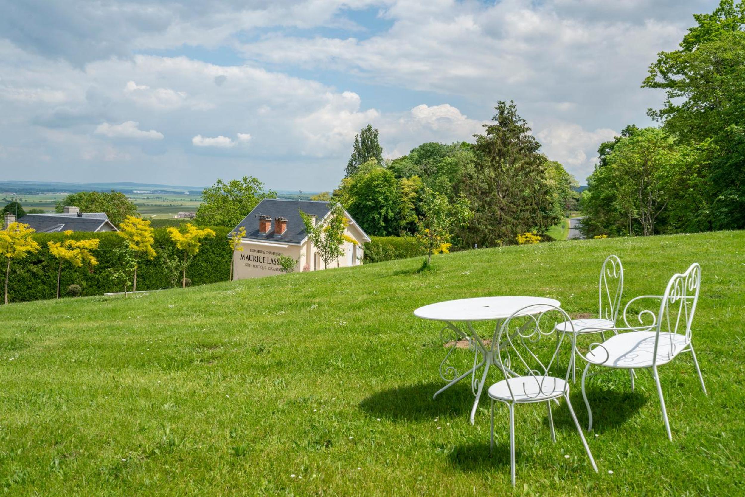 Gîte Rilly-la-Montagne view 2