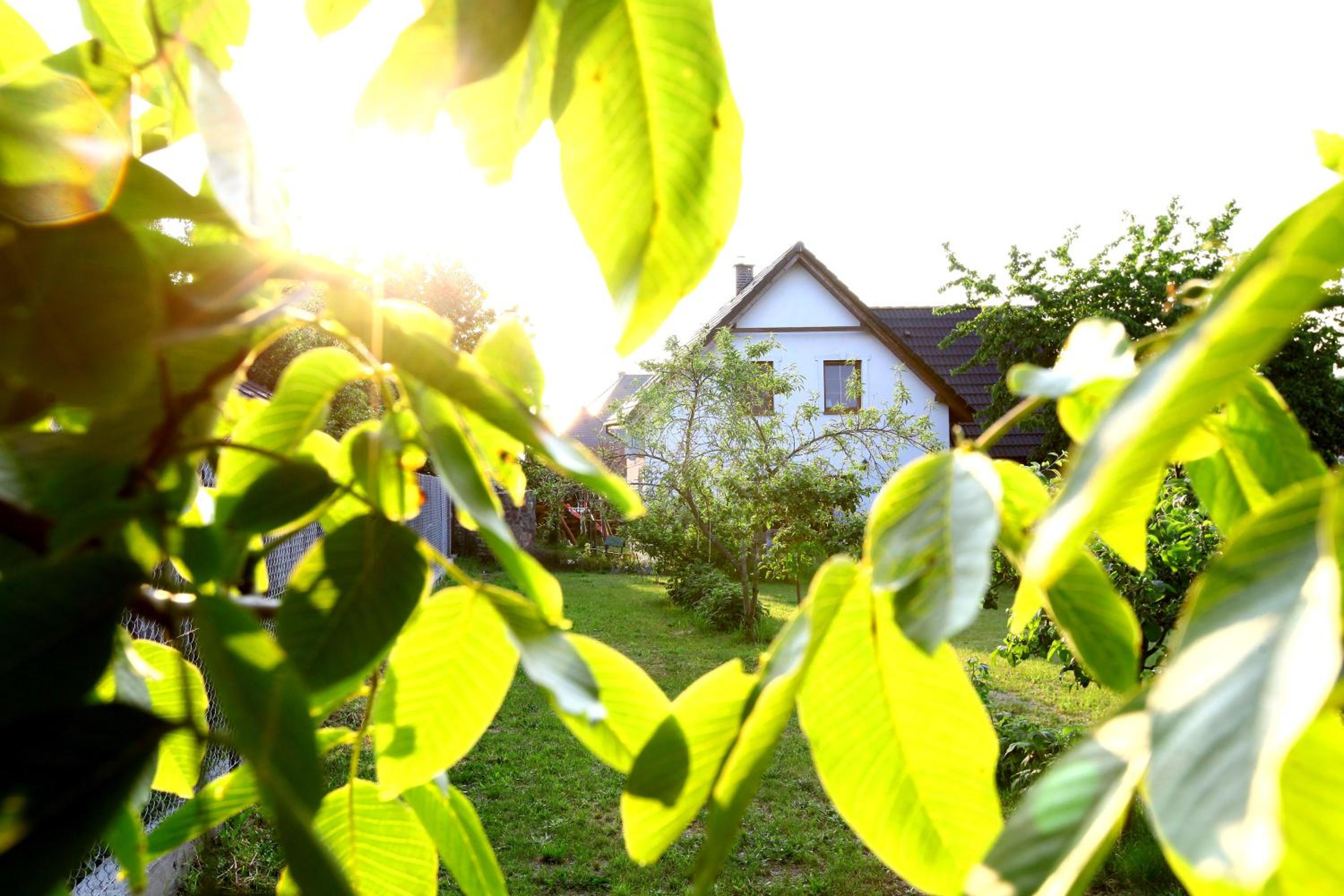 Domki Letniskowe Nad Morzem - Property Image 30