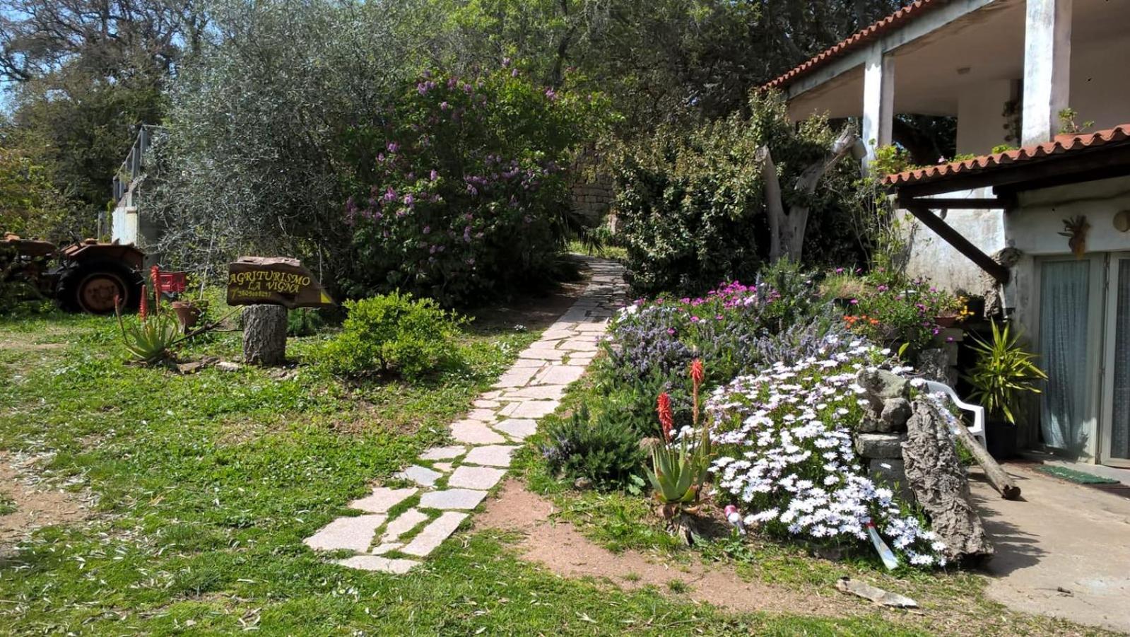 Photo 32
