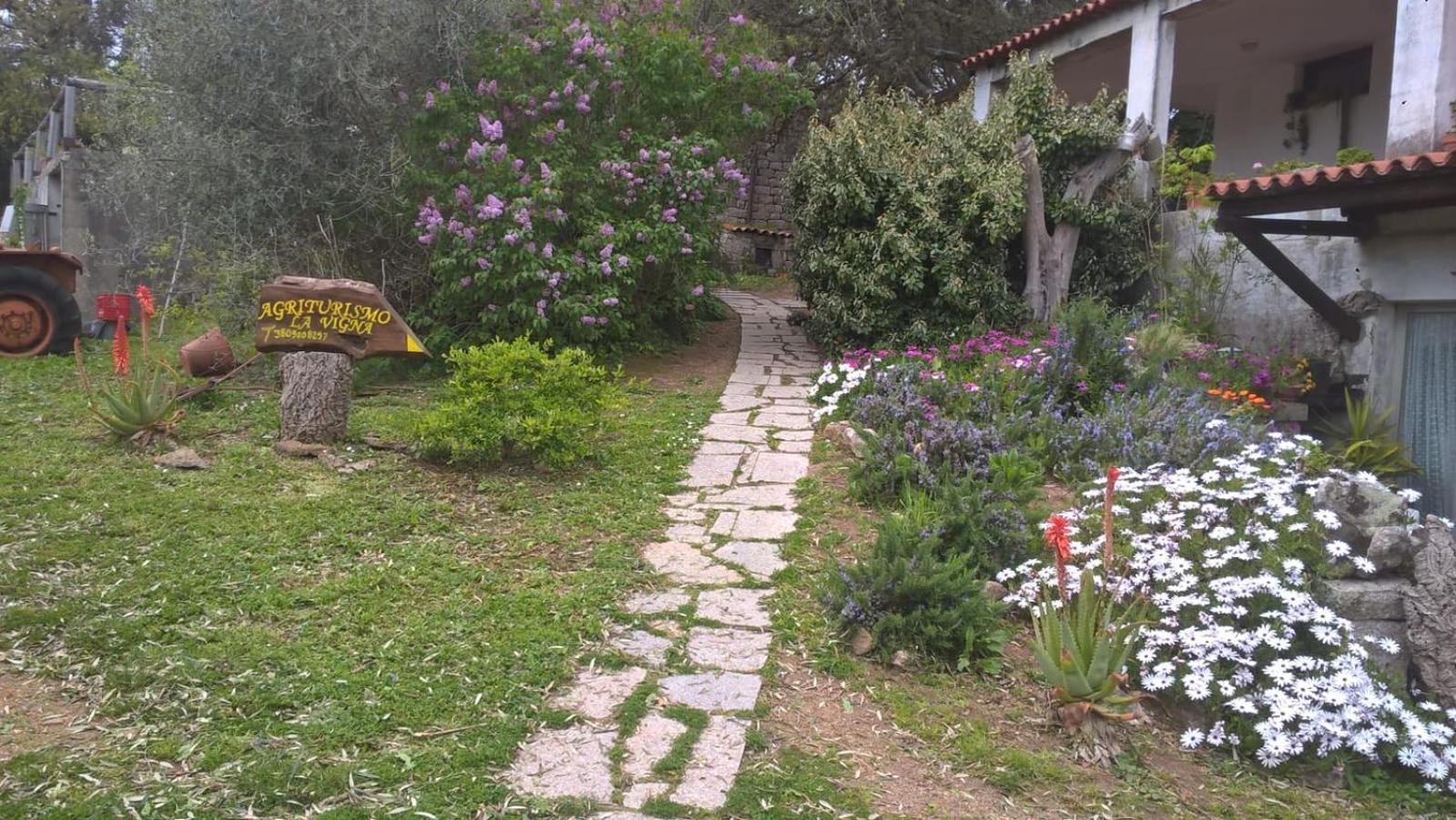 Photo 35
