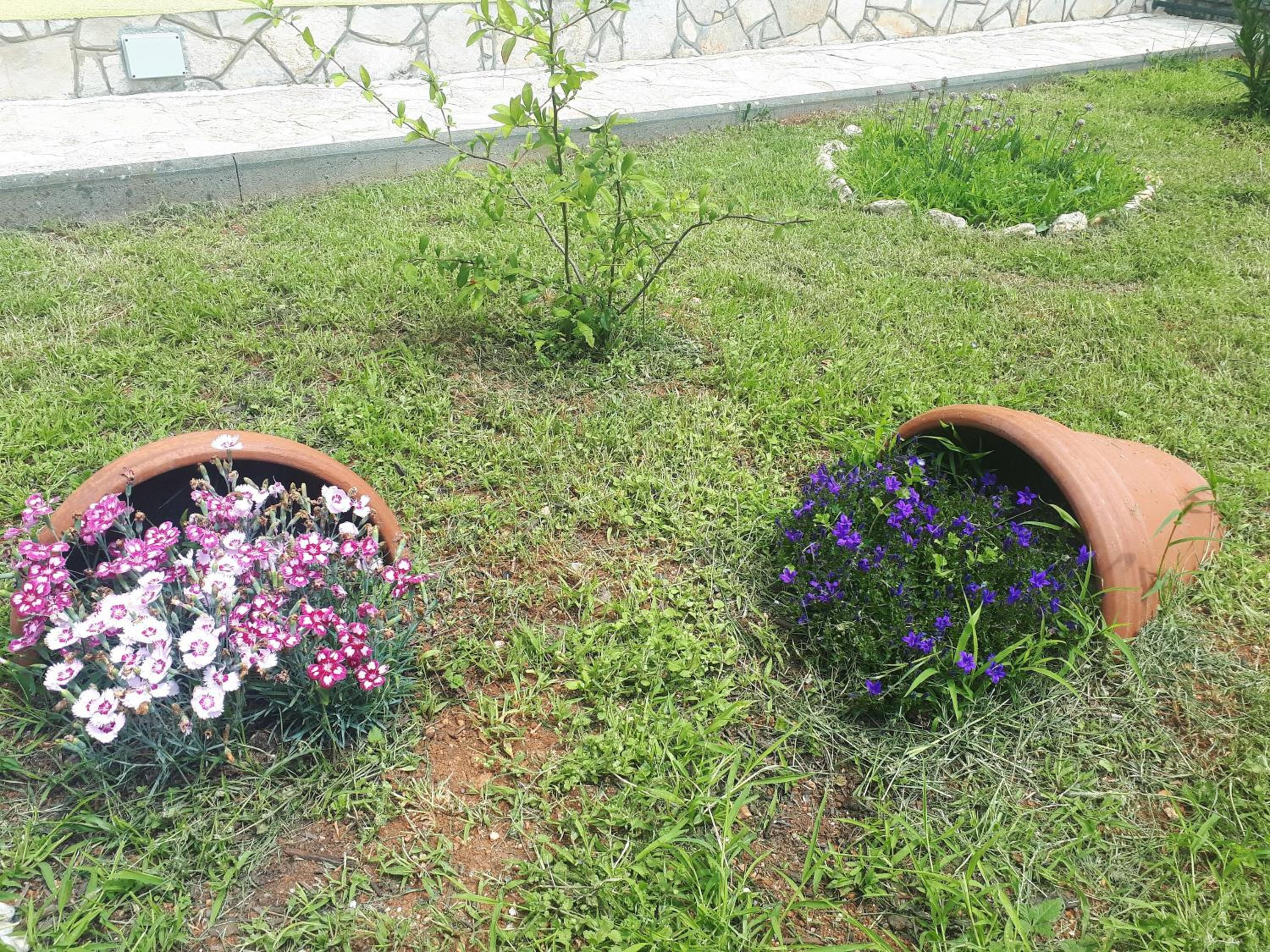 Photo 62