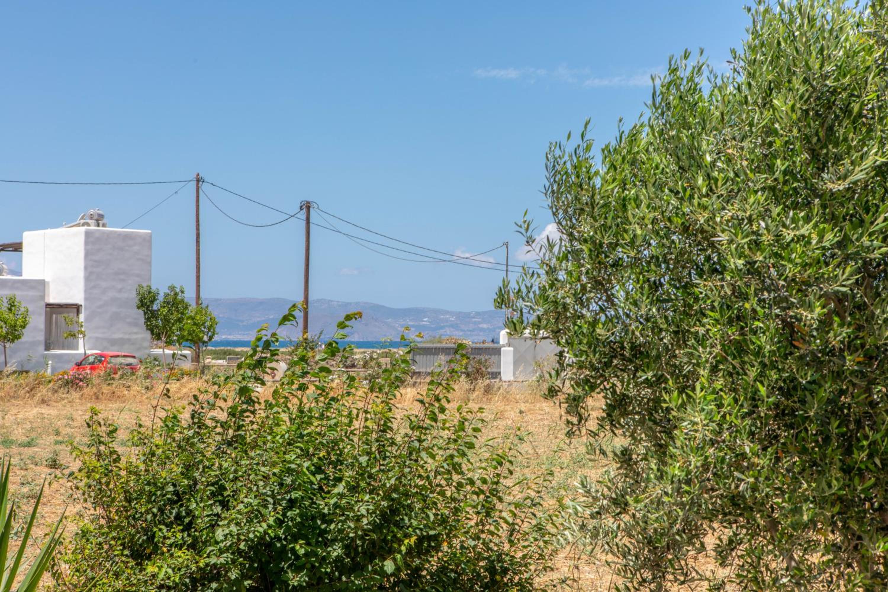 Studio Tolakis