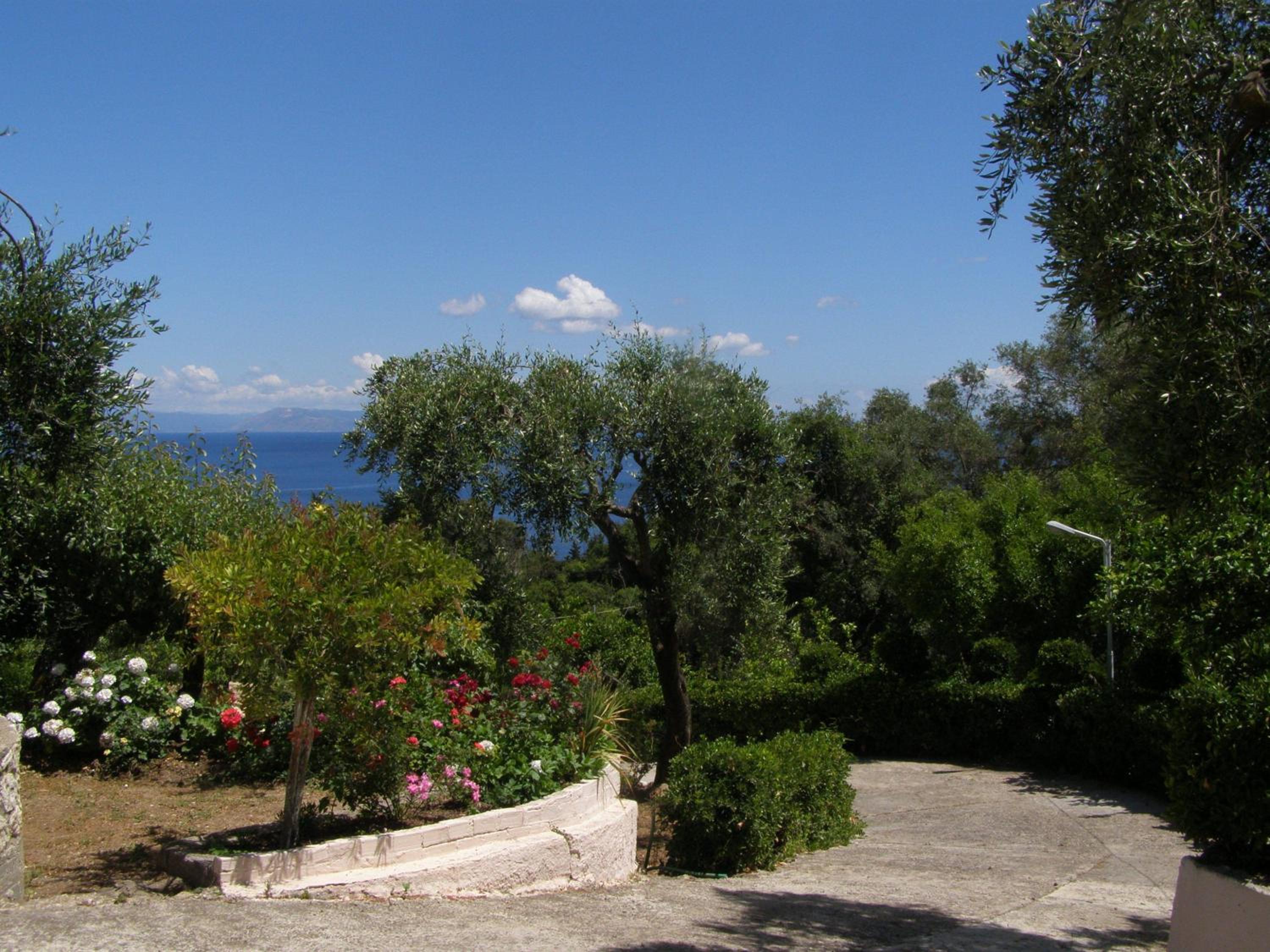 Photo 43