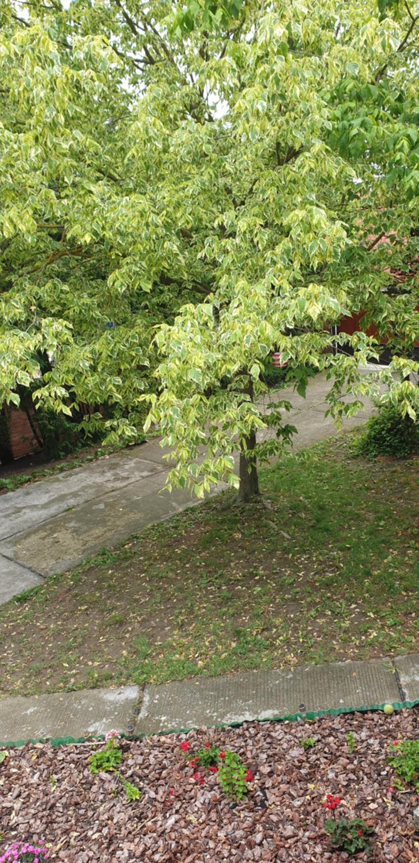 Photo 46