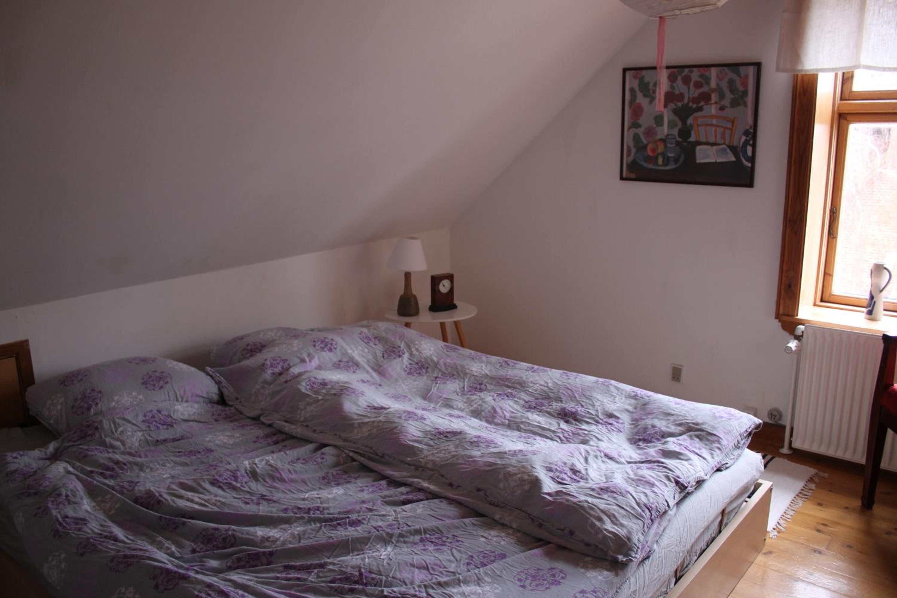 Borup Bed & Breakfast