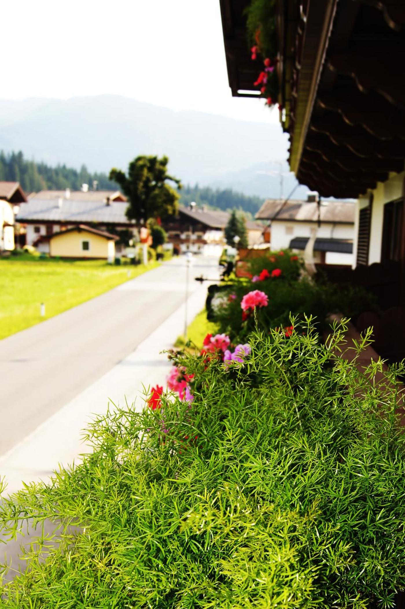 Pension Hohe Salve
