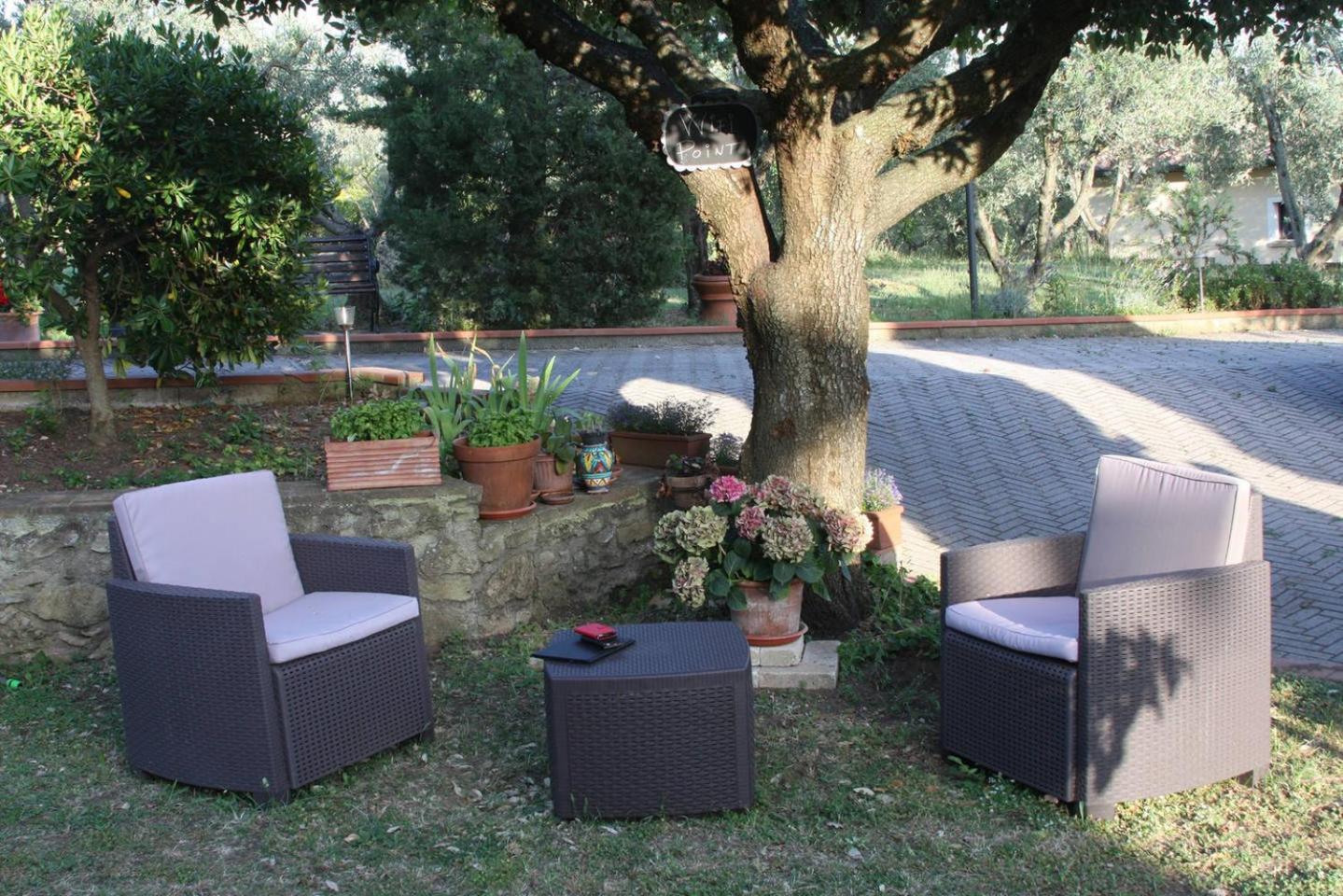 Vigna Lontana view 3