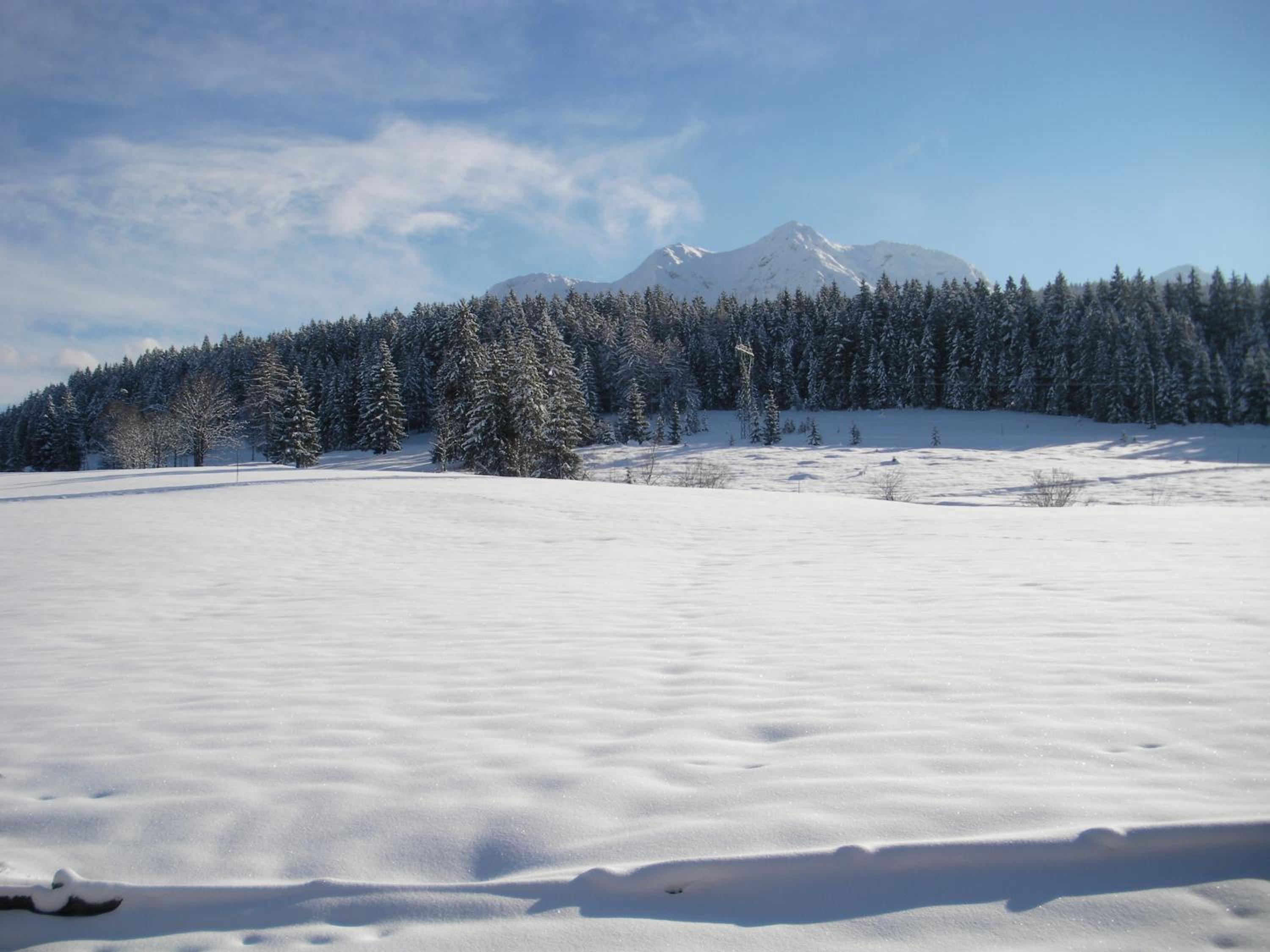 Haus Hubertus view 3